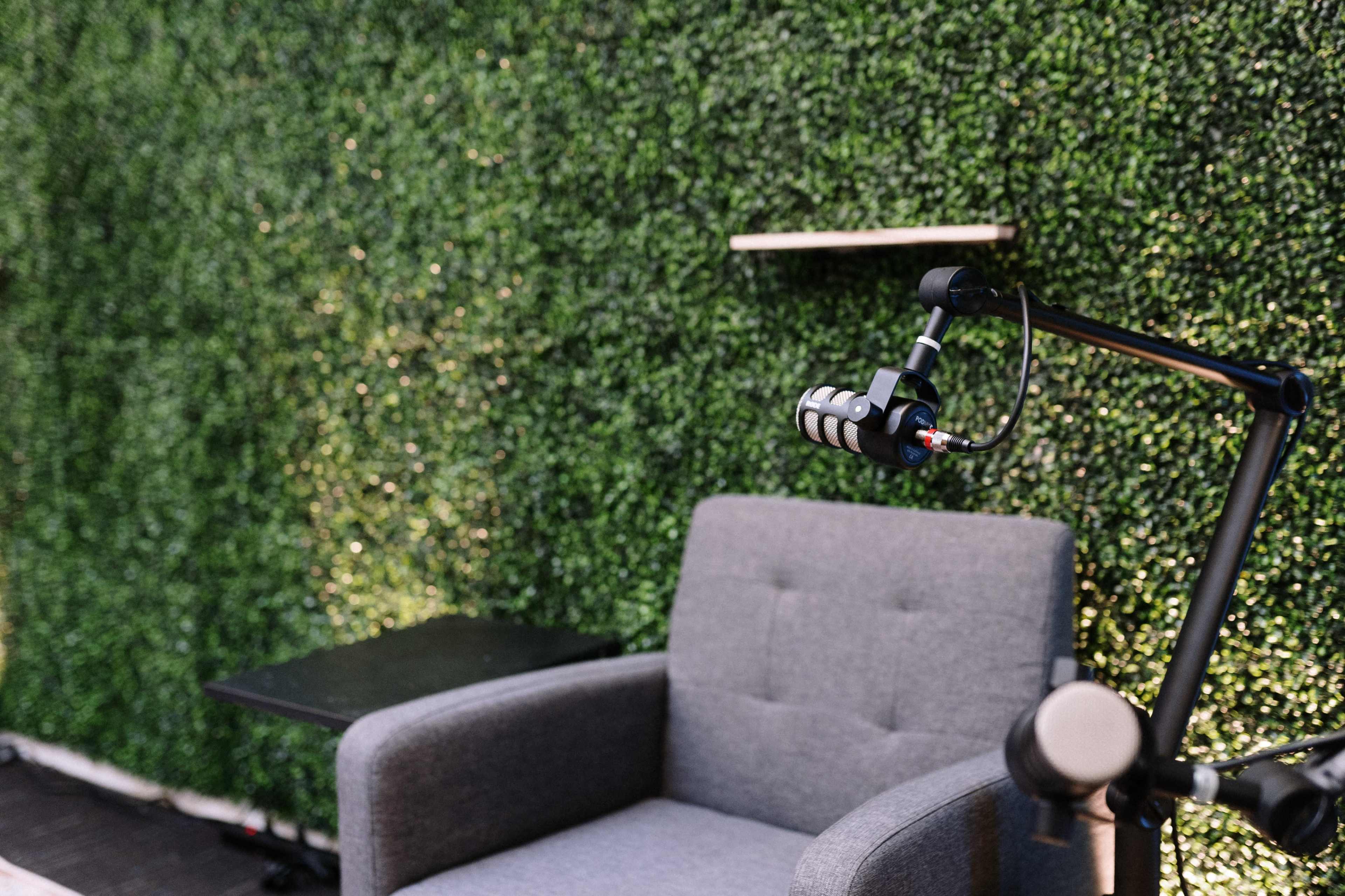 A gray chair and microphone are set against a greenery-covered wall.