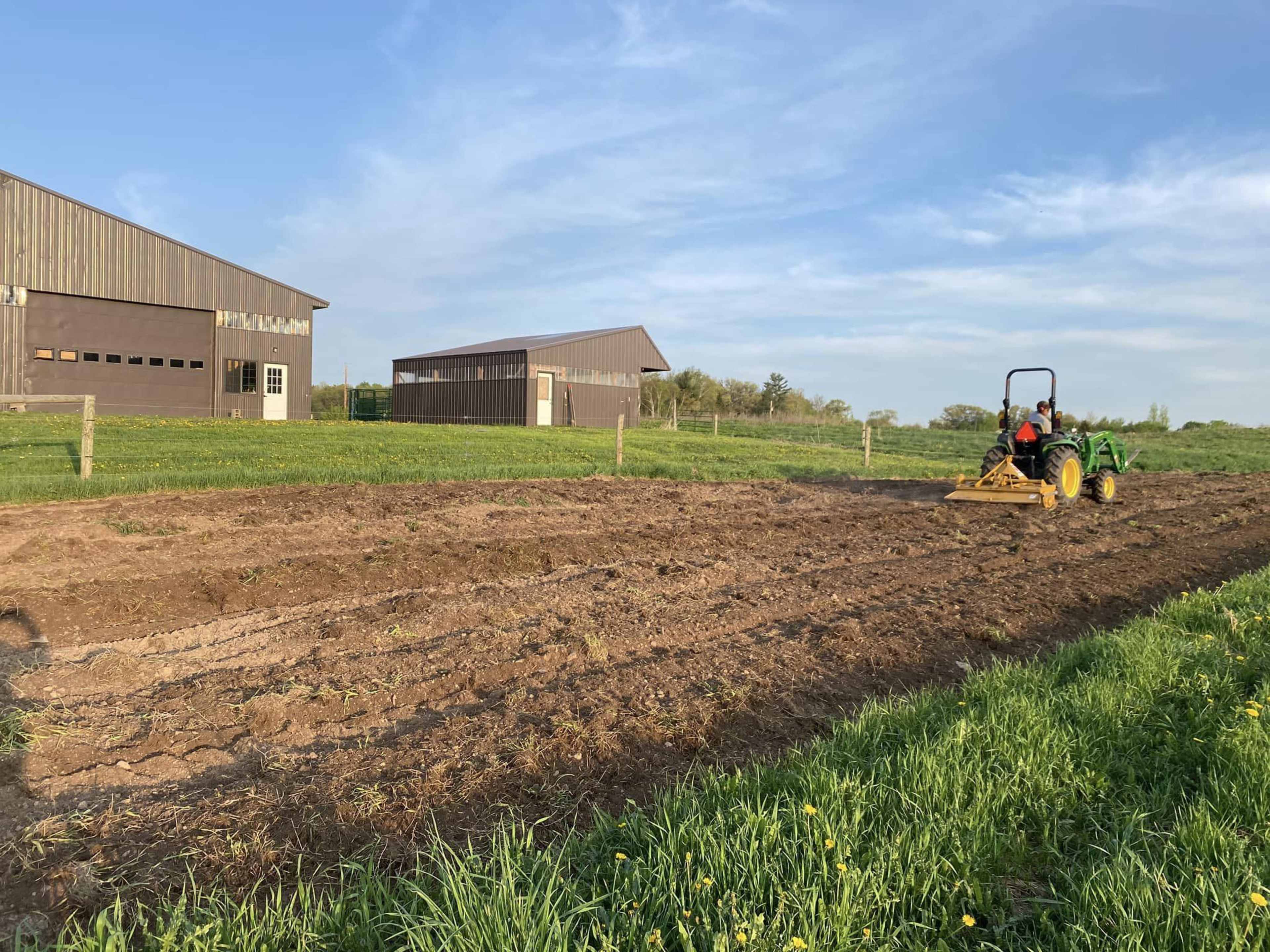 A tractor cultivates a field near two wooden barns on a clear day.
