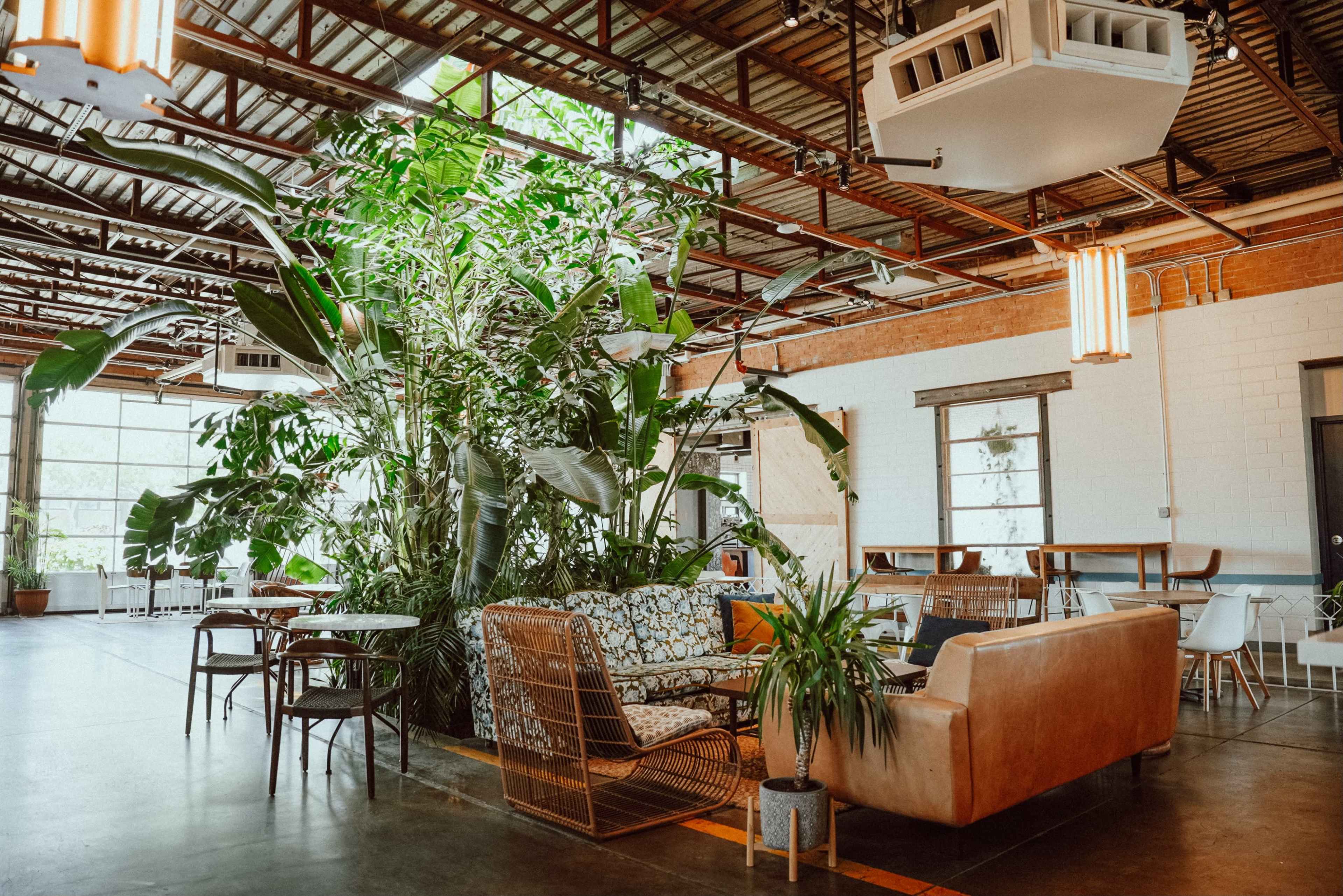 A spacious café with large plants, comfortable seating areas, and large windows providing natural light.