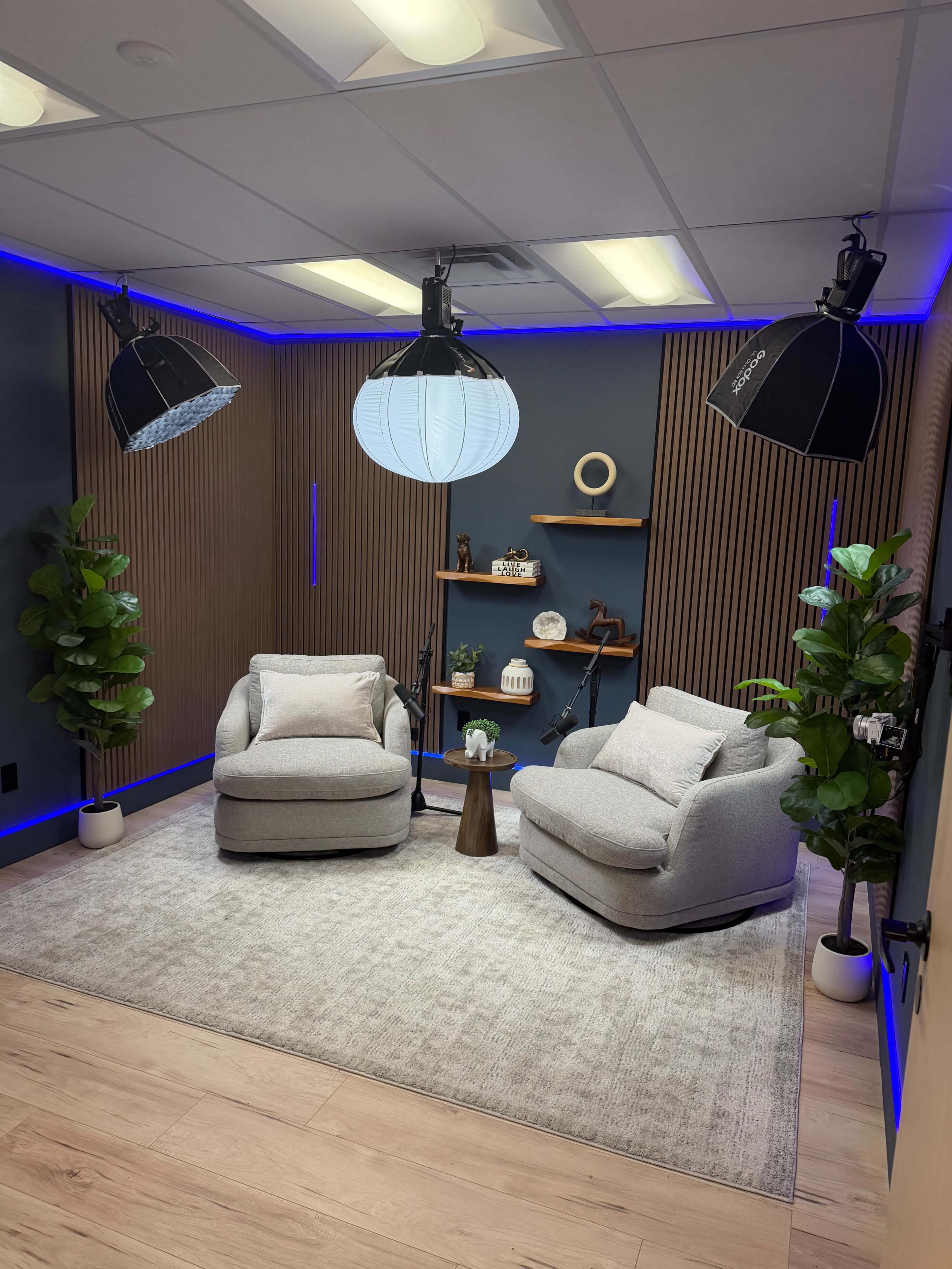 The image shows a cozy room with two gray armchairs, decorative shelves, plants, and soft lighting.