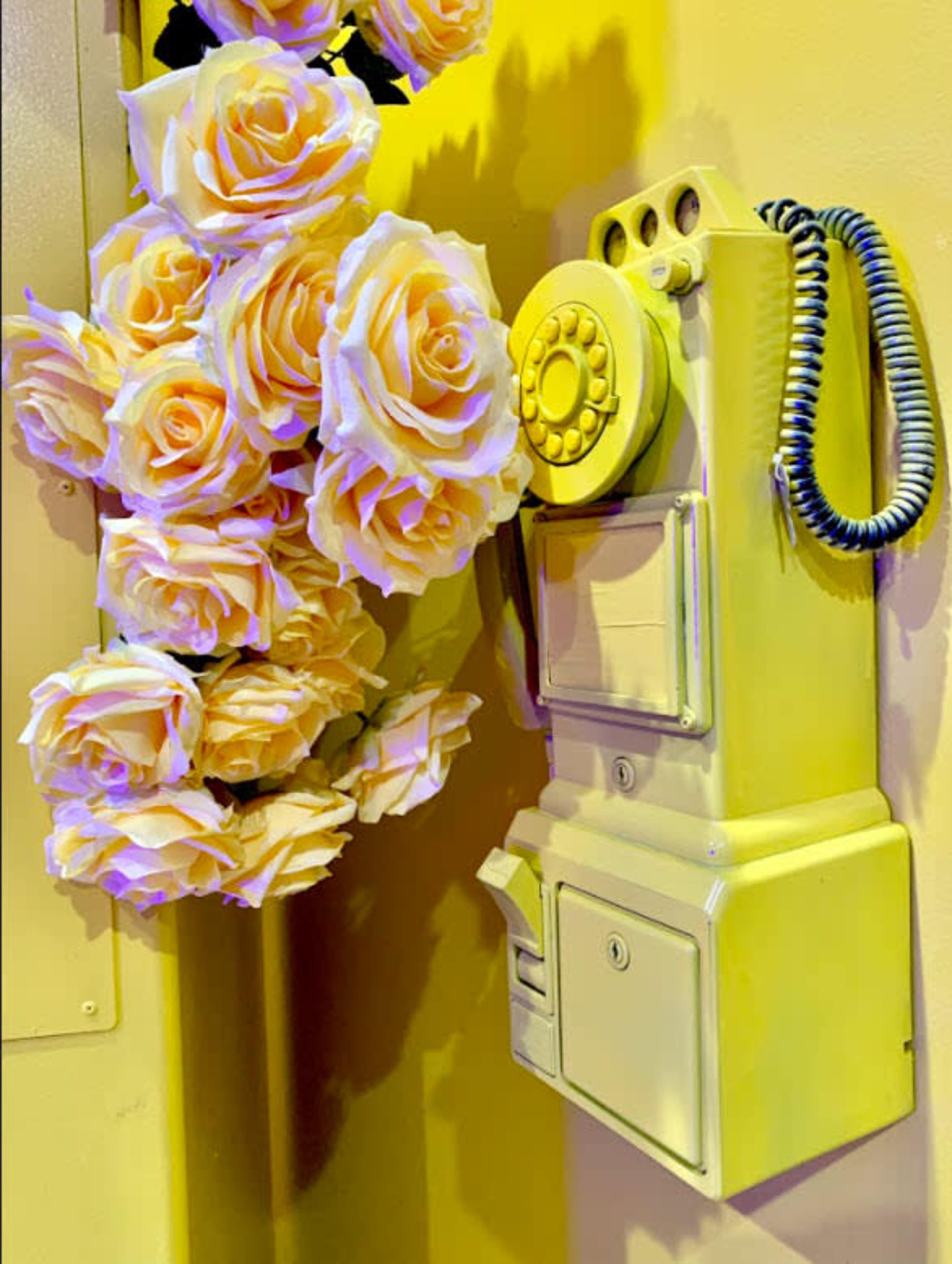 A vintage rotary telephone is mounted on a yellow wall, accompanied by a cluster of artificial white roses.