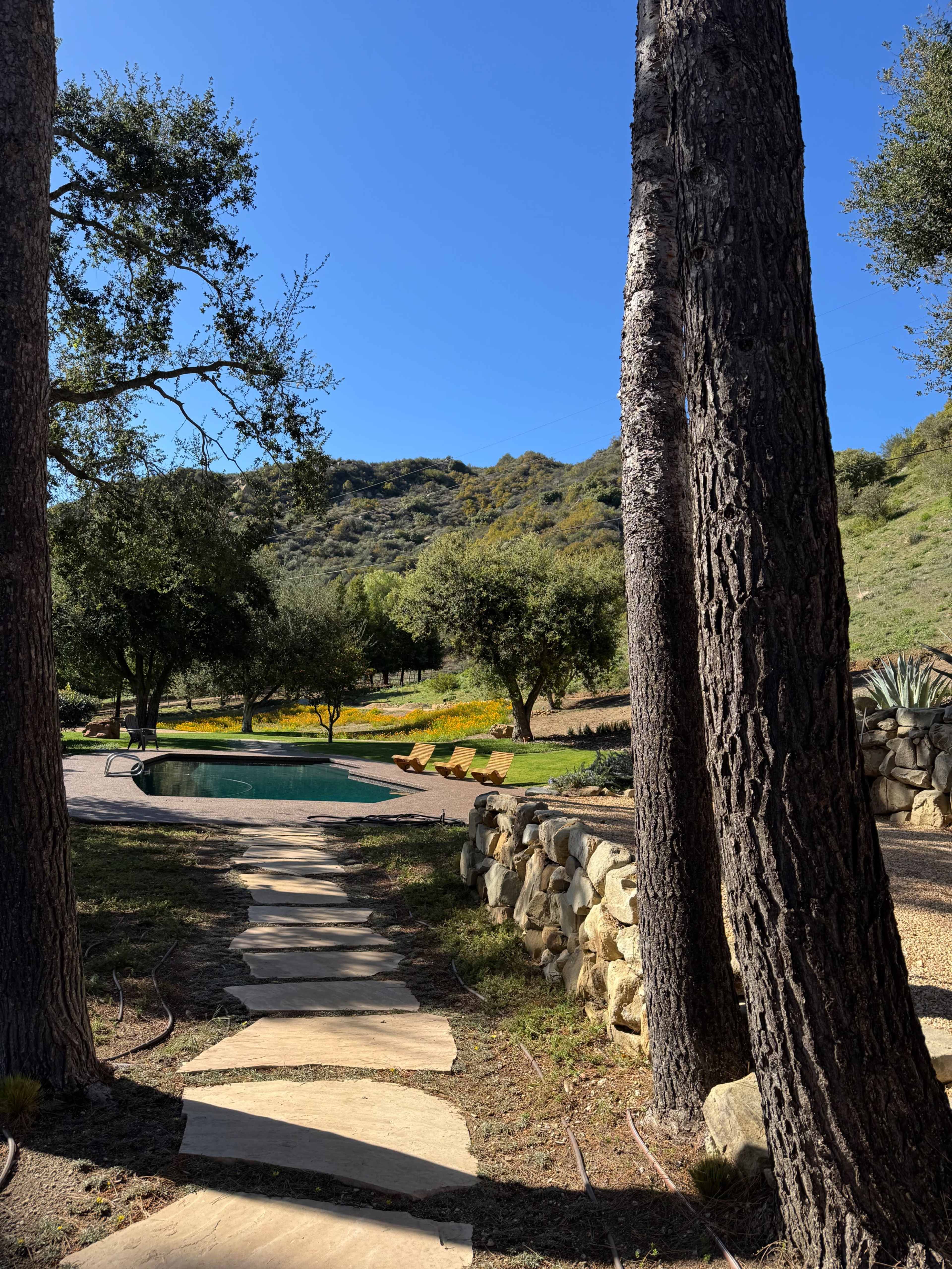 A stone path leads to a pool surrounded by trees and rolling hills under a clear blue sky.