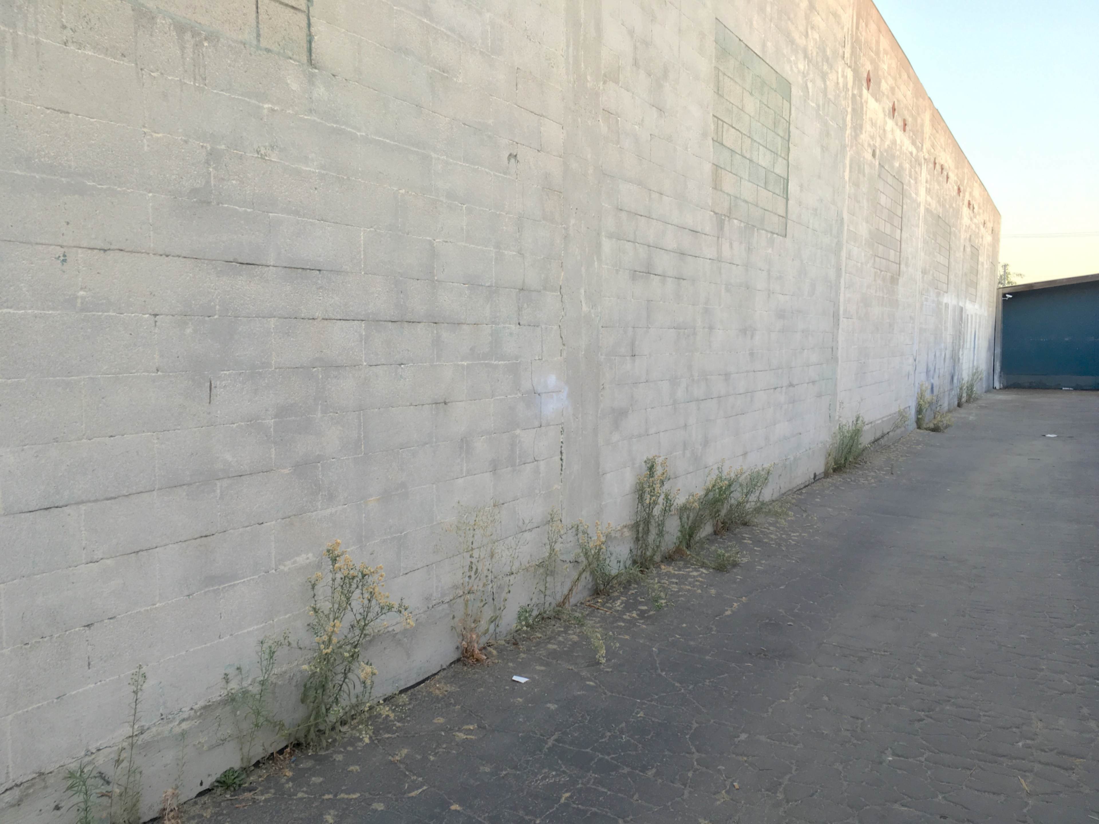 A vacant concrete wall runs alongside a narrow asphalt pathway overgrown with weeds.