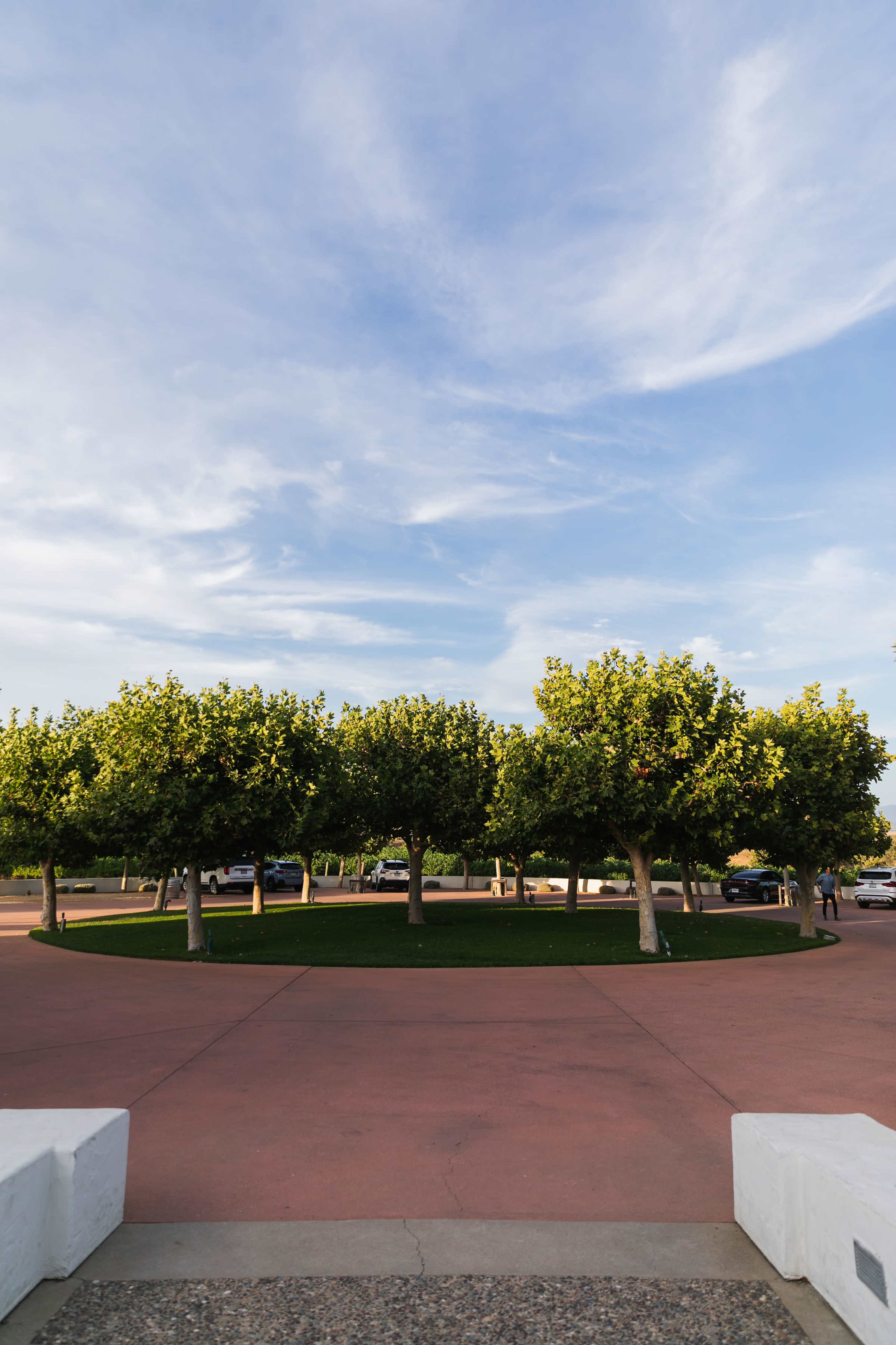 Vineyard Views & Timeless Elegance: Your Private Estate for the Day Image in , Santa Ynez, CA