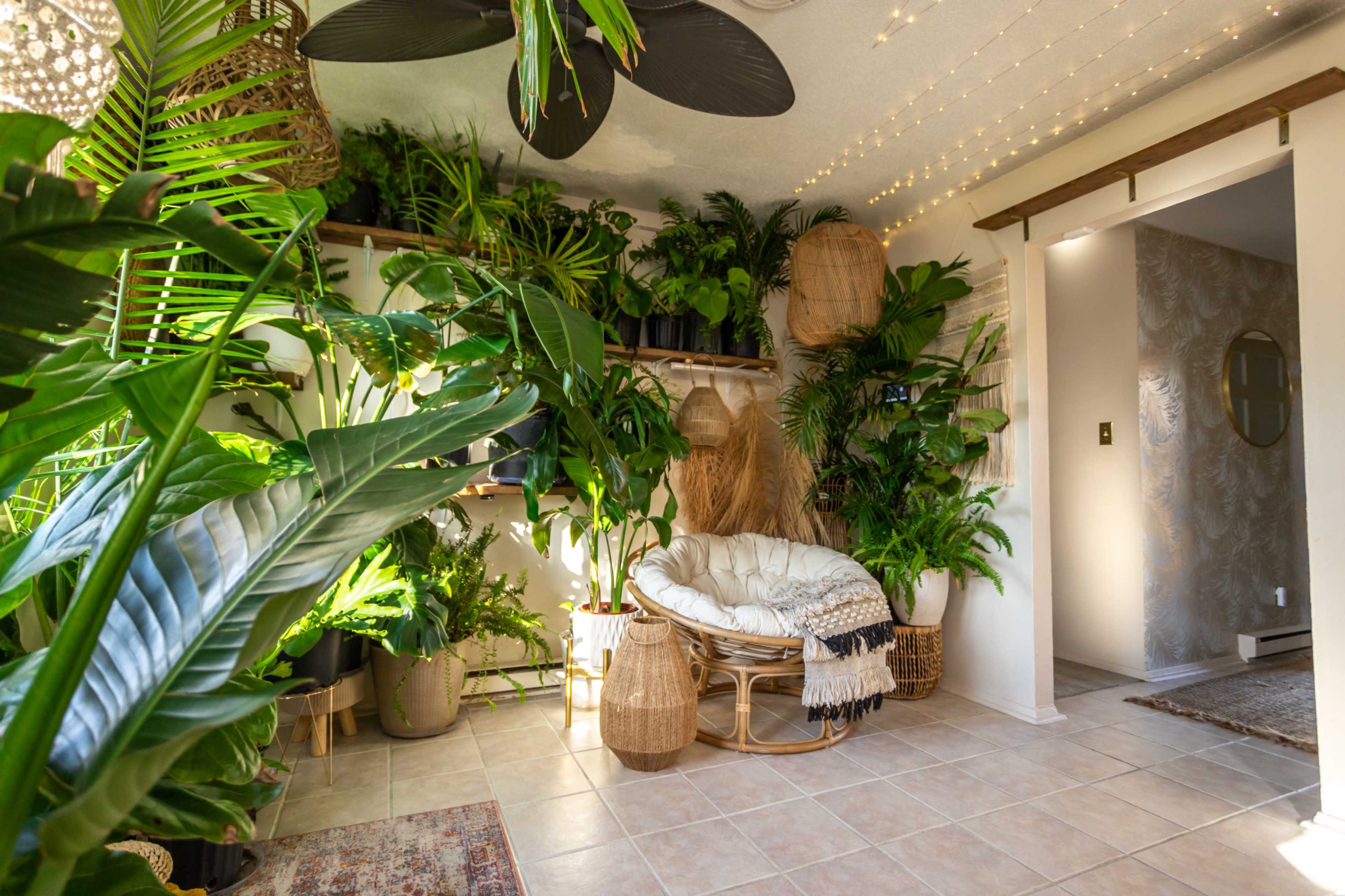 A sunlit indoor space filled with various potted plants, featuring a cozy seating area with a rattan chair and decorative lighting.