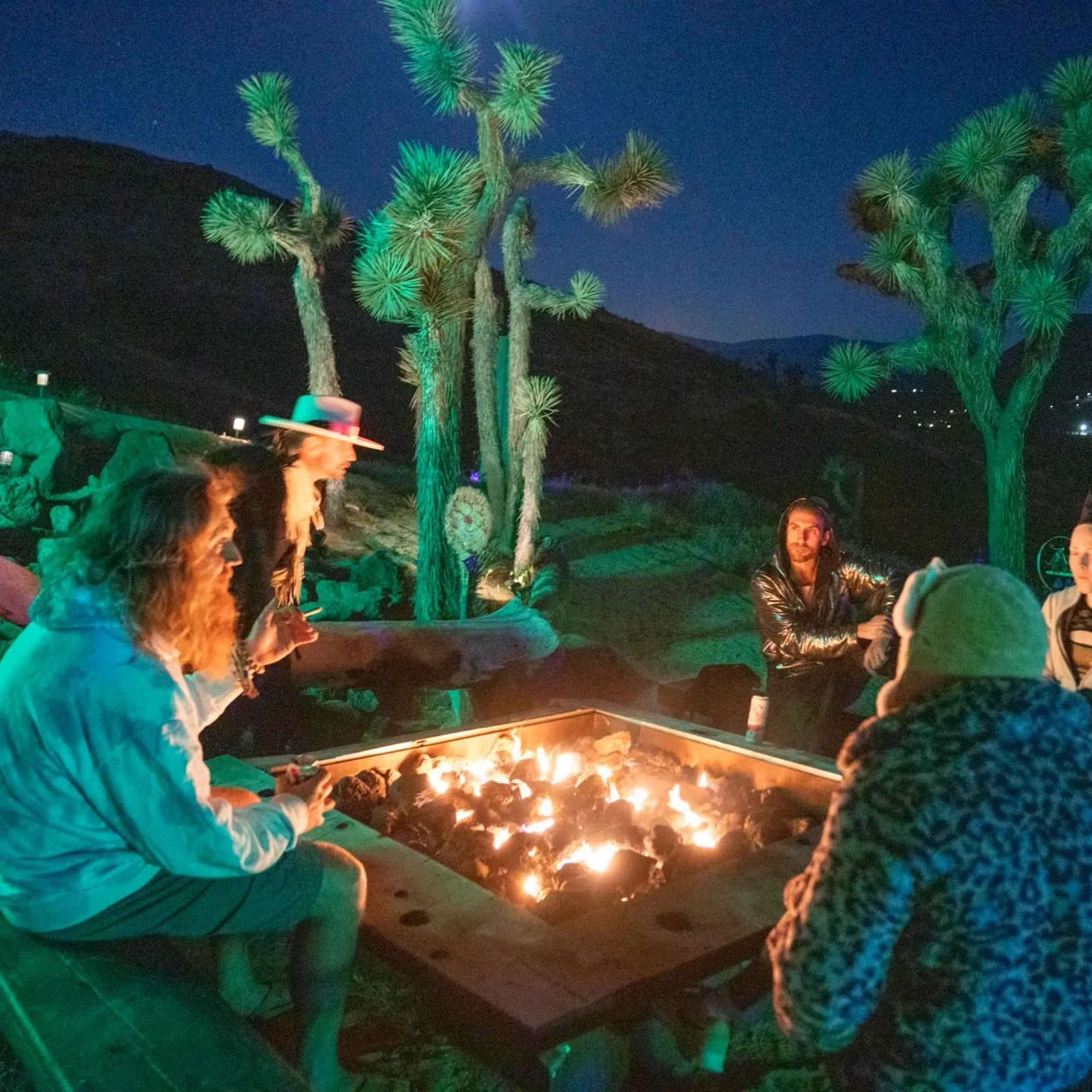 A group of people gathers around a fire pit in a desert setting, surrounded by Joshua trees under a night sky.