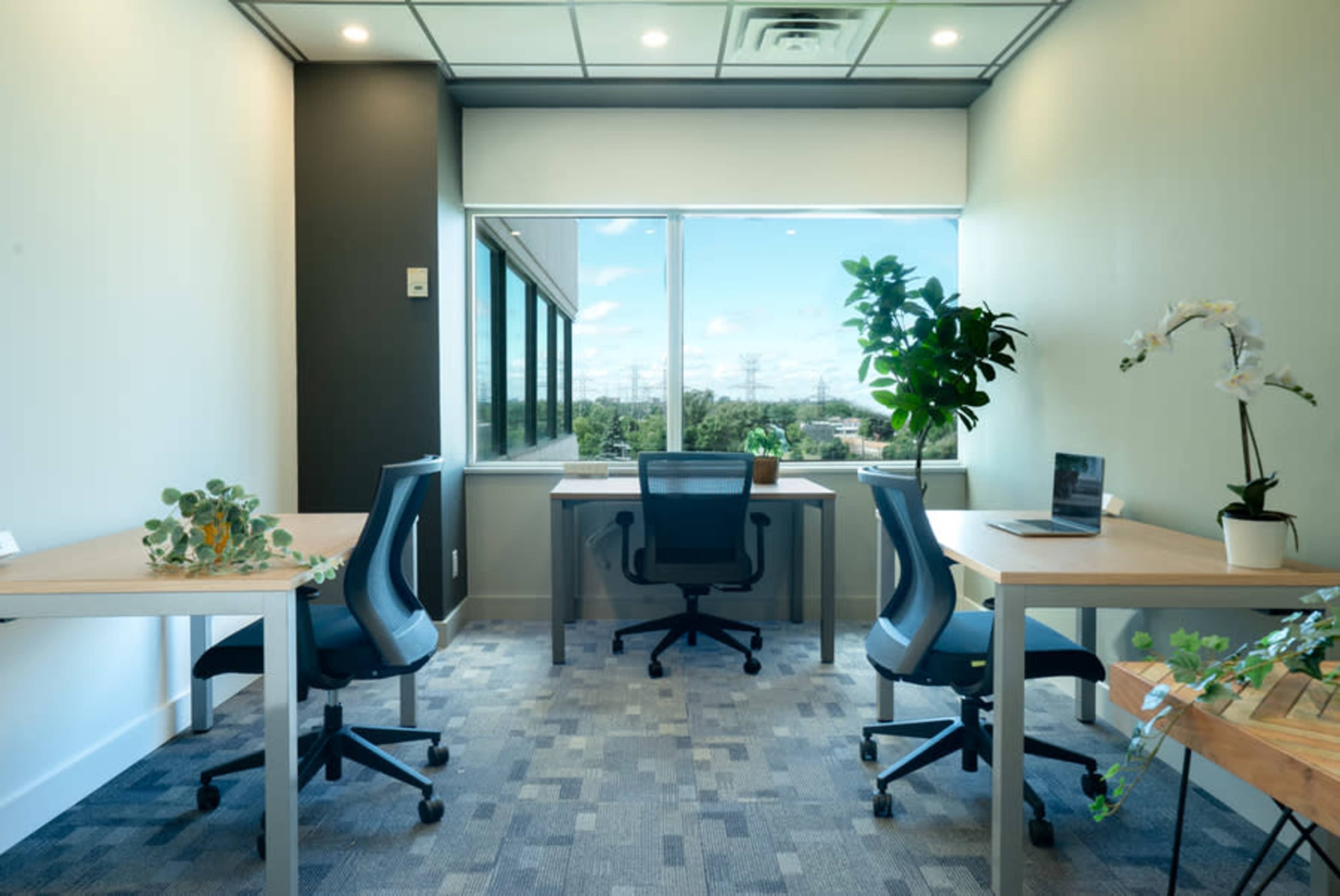 An office space with two desks and chairs is shown, featuring a large window, green plants, and a laptop on one desk.