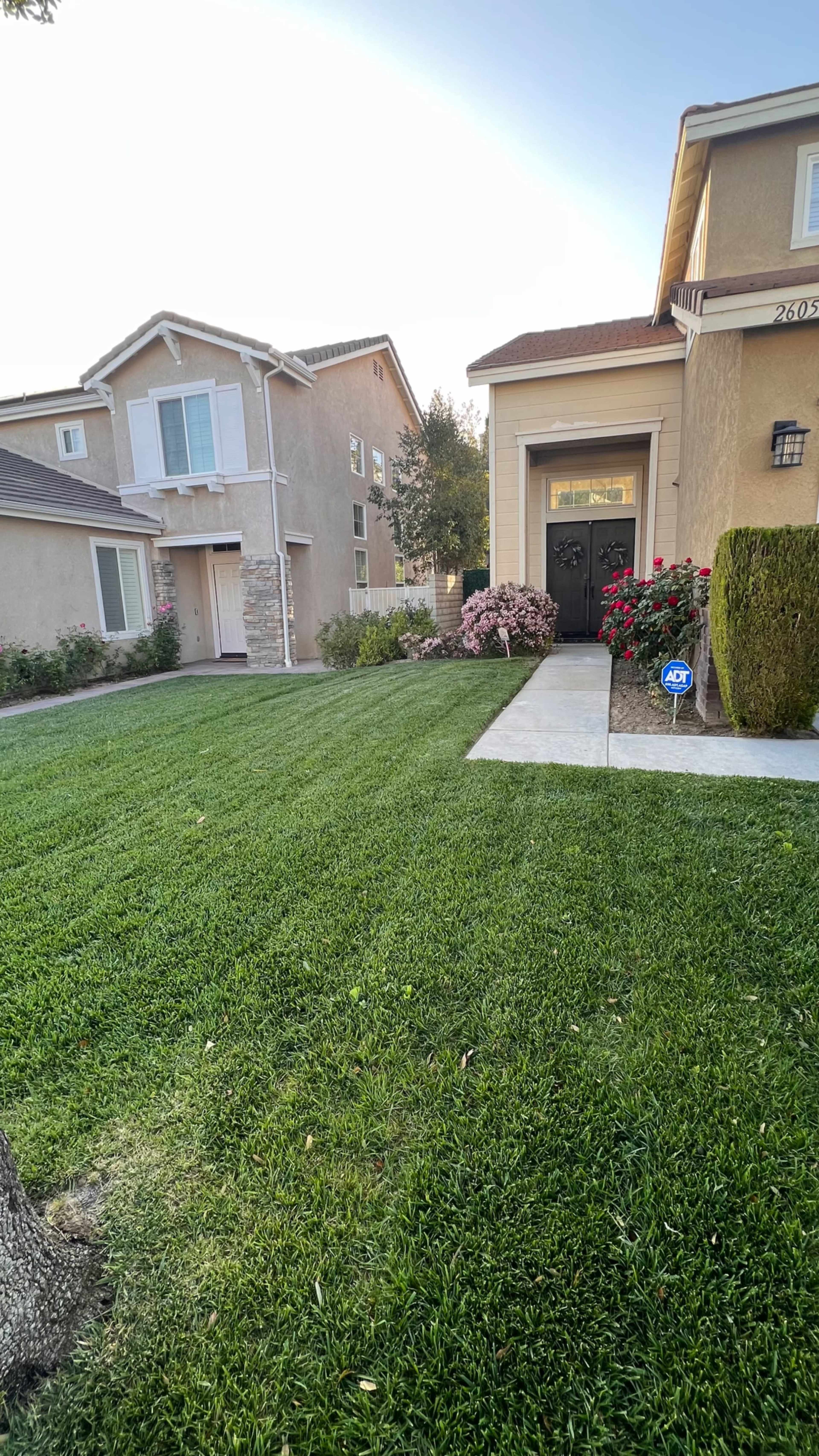 Two houses side by side, with well-maintained lawns and flower bushes in front of each.