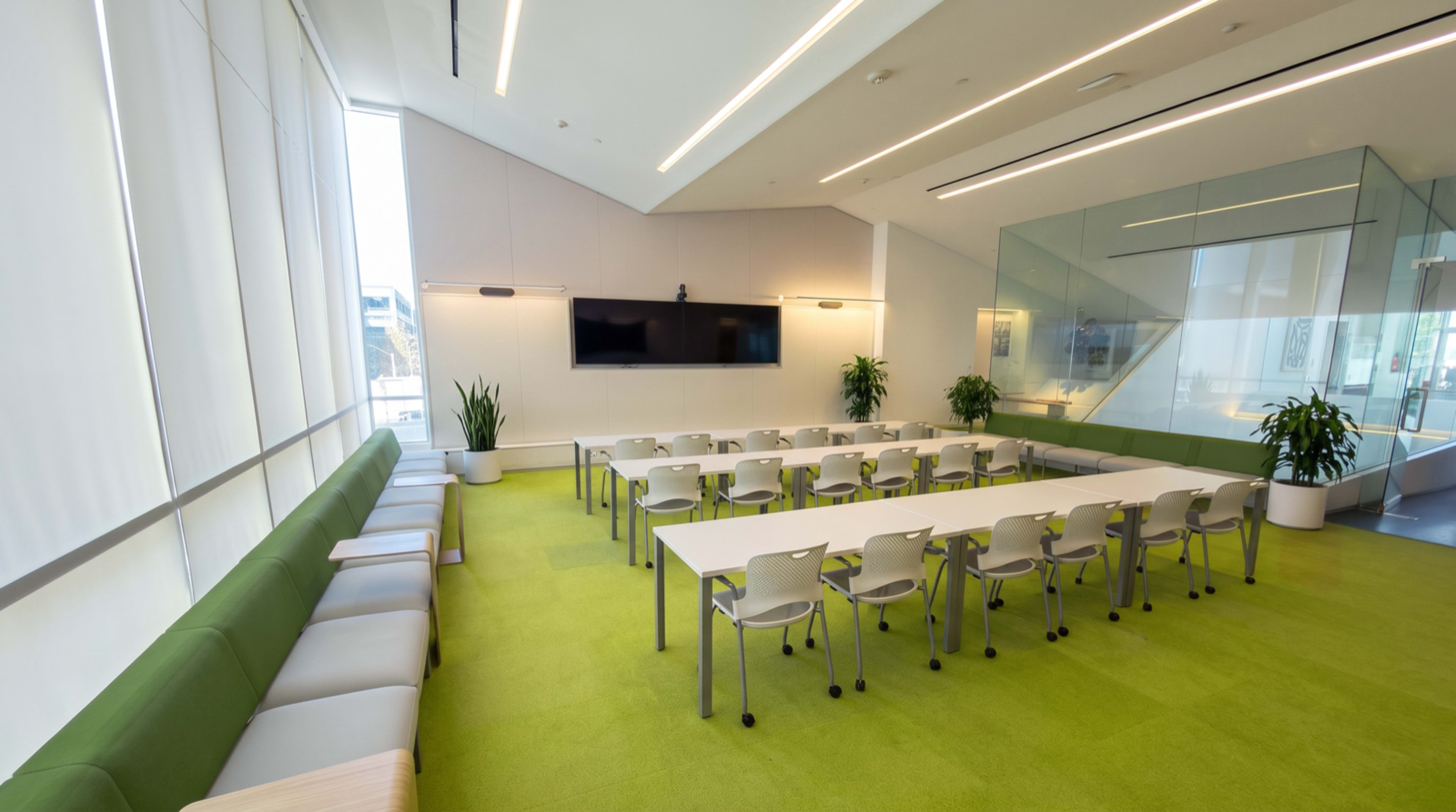 The image shows a modern conference room with a large table, chairs arranged around it, and green carpet, complemented by natural light from windows and potted plants.