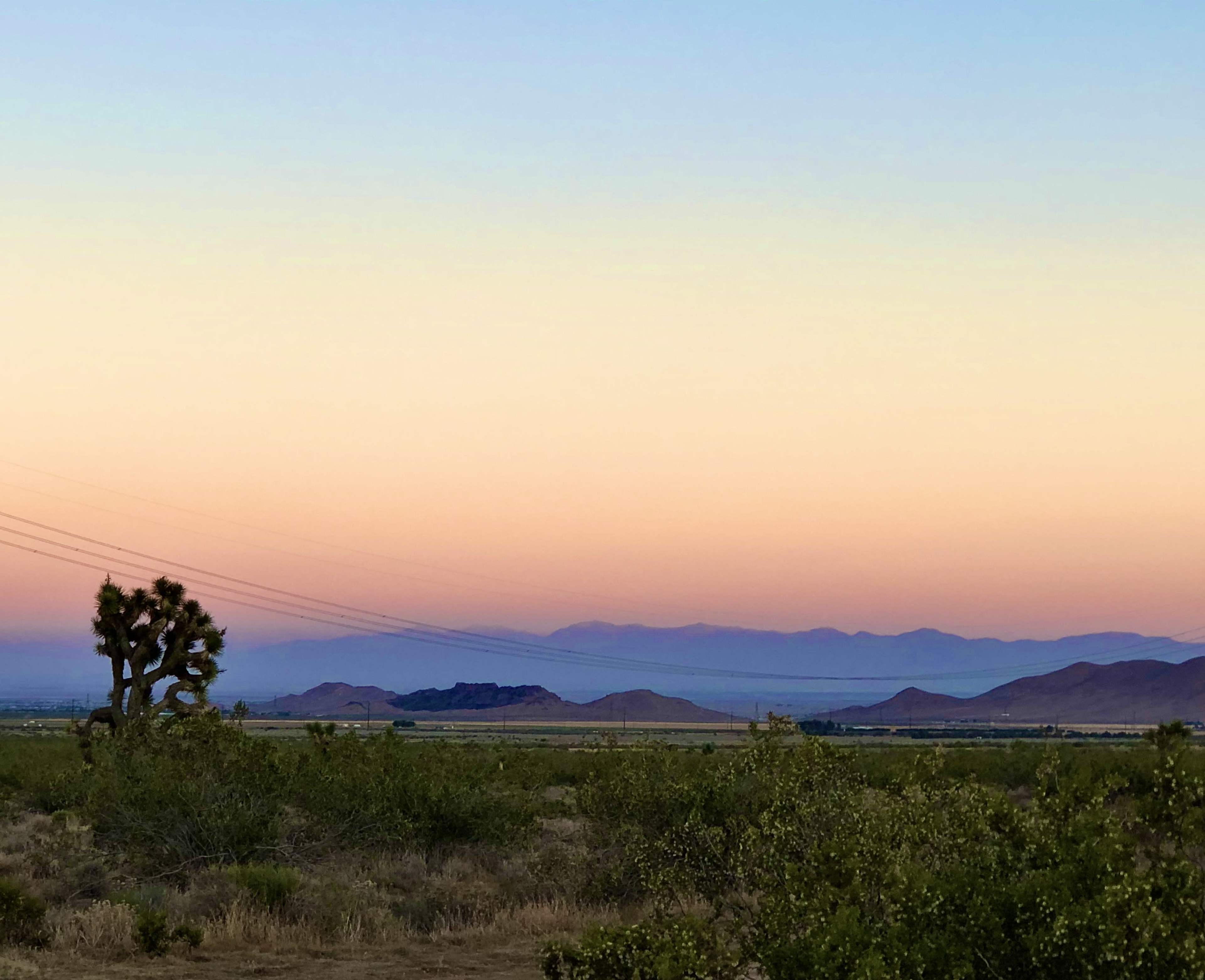 A desert landscape features a Joshua tree in the foreground with distant mountains and a gradient sky at sunset.