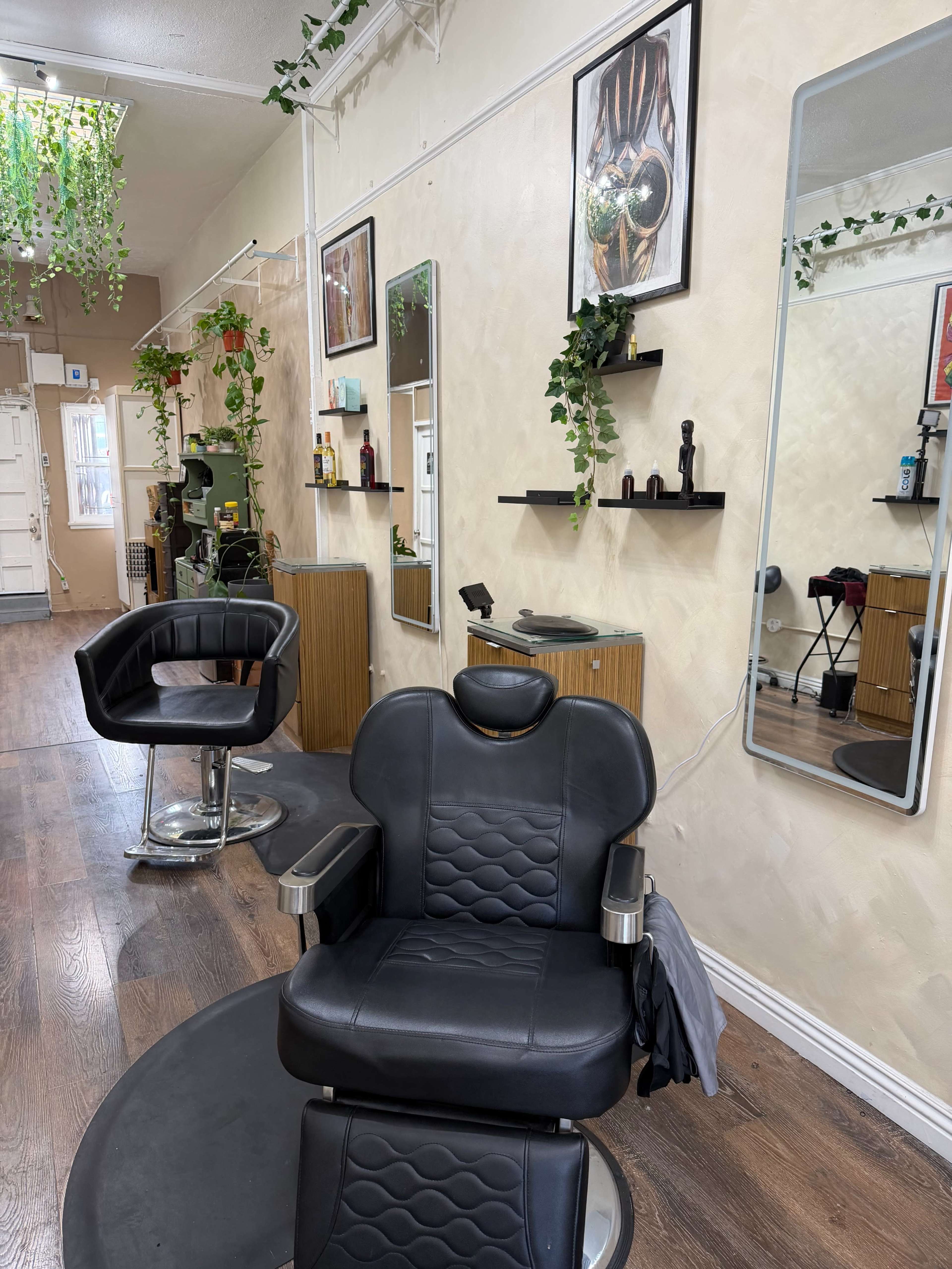 The image shows a modern hair salon featuring a black barber chair, mirrors on the walls, and decorative plants hanging from the ceiling.