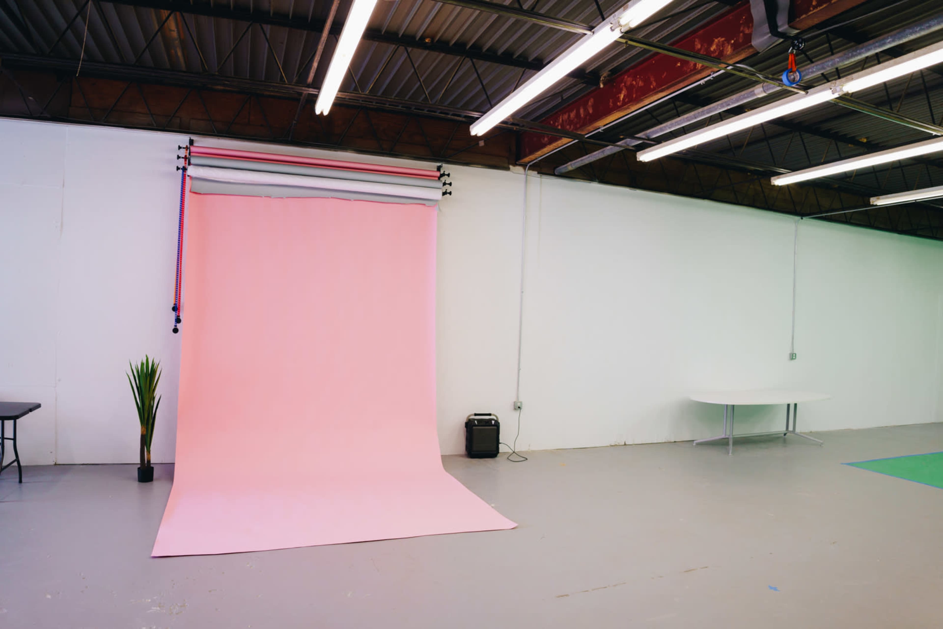 A studio space with a pink backdrop, a table, a plant, and a speaker against a white wall.