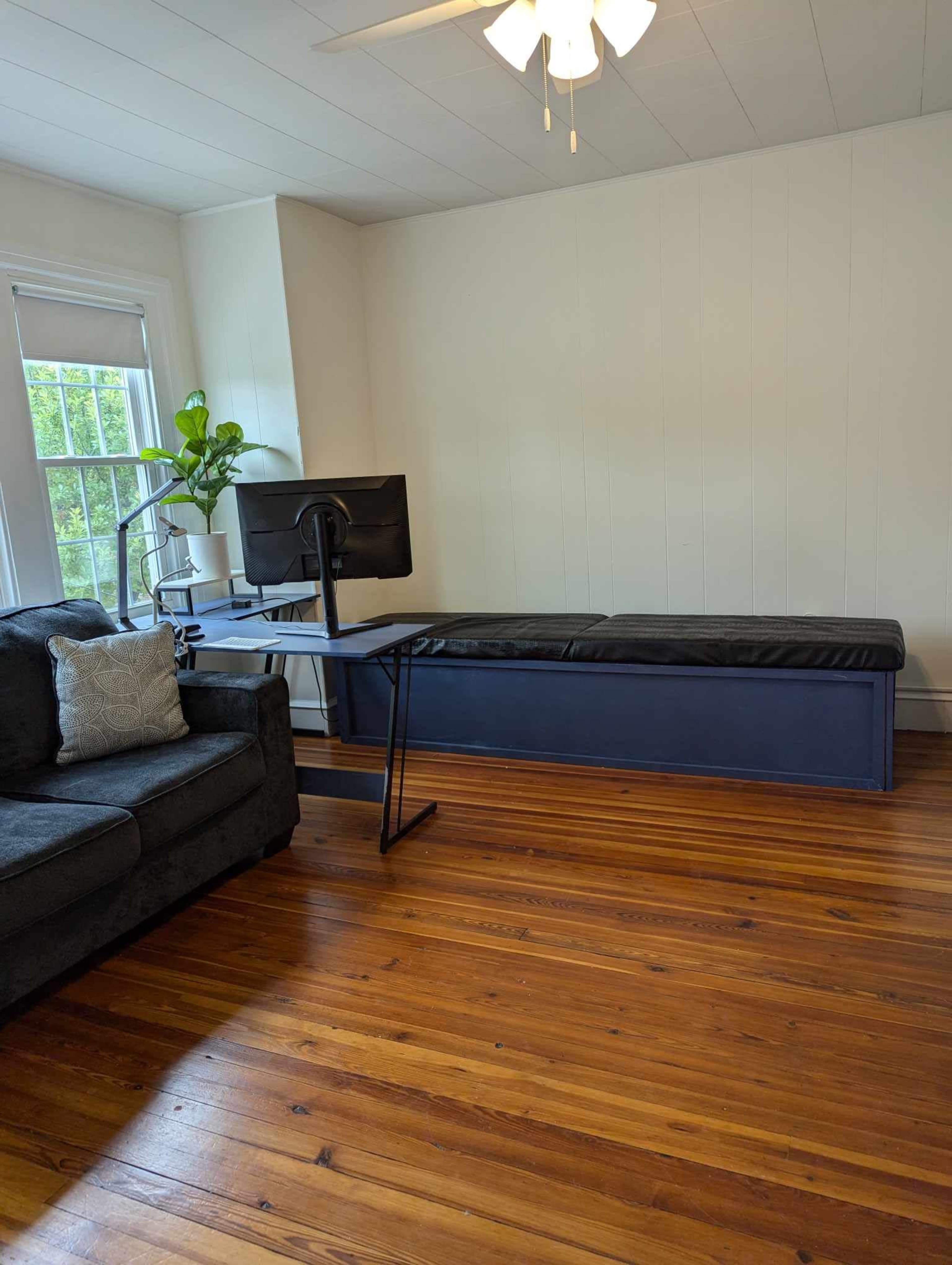 The room features a black sofa, a desk with a monitor on it, and hardwood flooring, with a potted plant near the window.