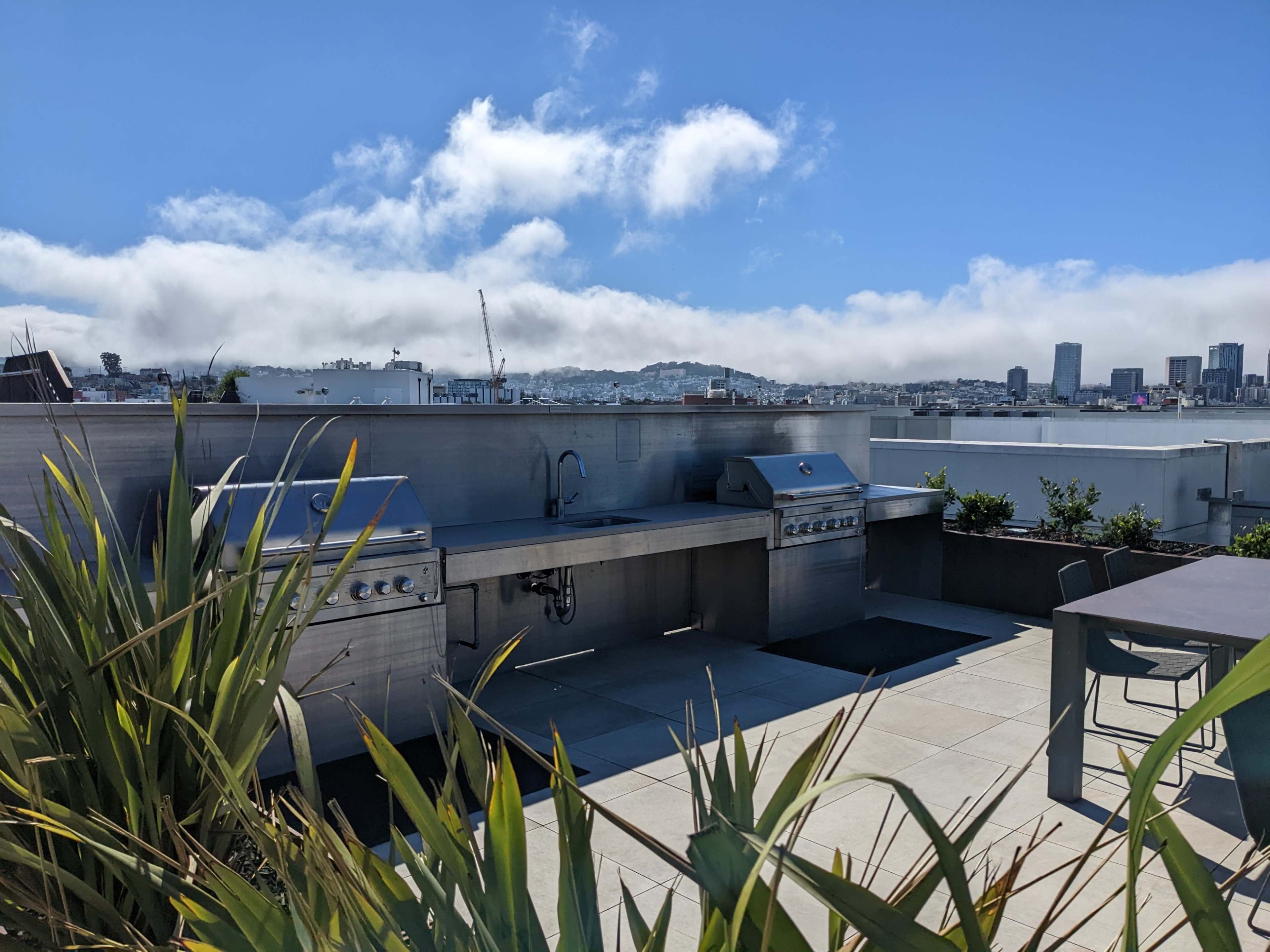A rooftop barbecue area with stainless steel grills and a seating table, framed by green plants and a city skyline in the background.