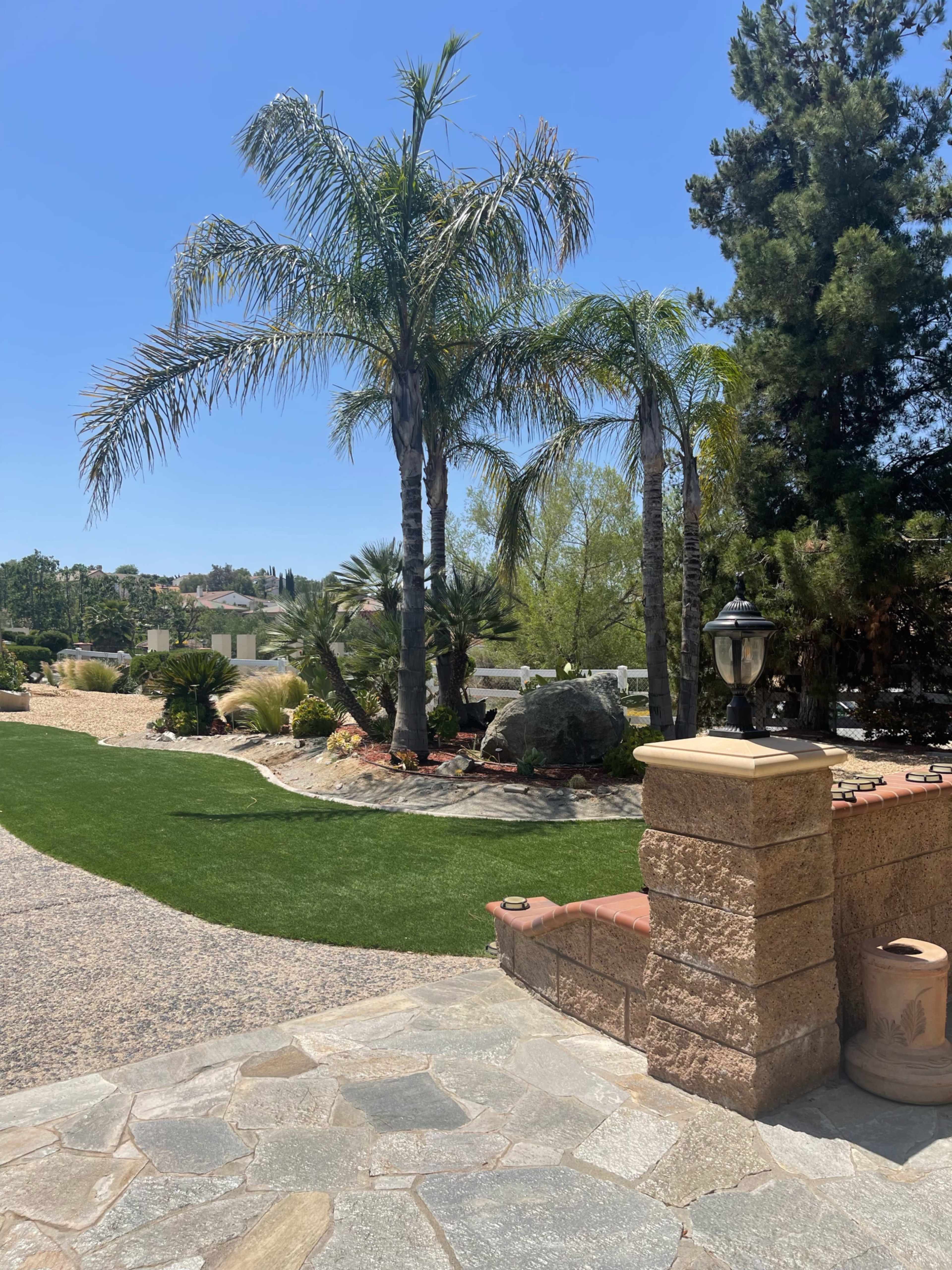 The image shows a landscaped outdoor area featuring palm trees, green grass, and a stone pathway.