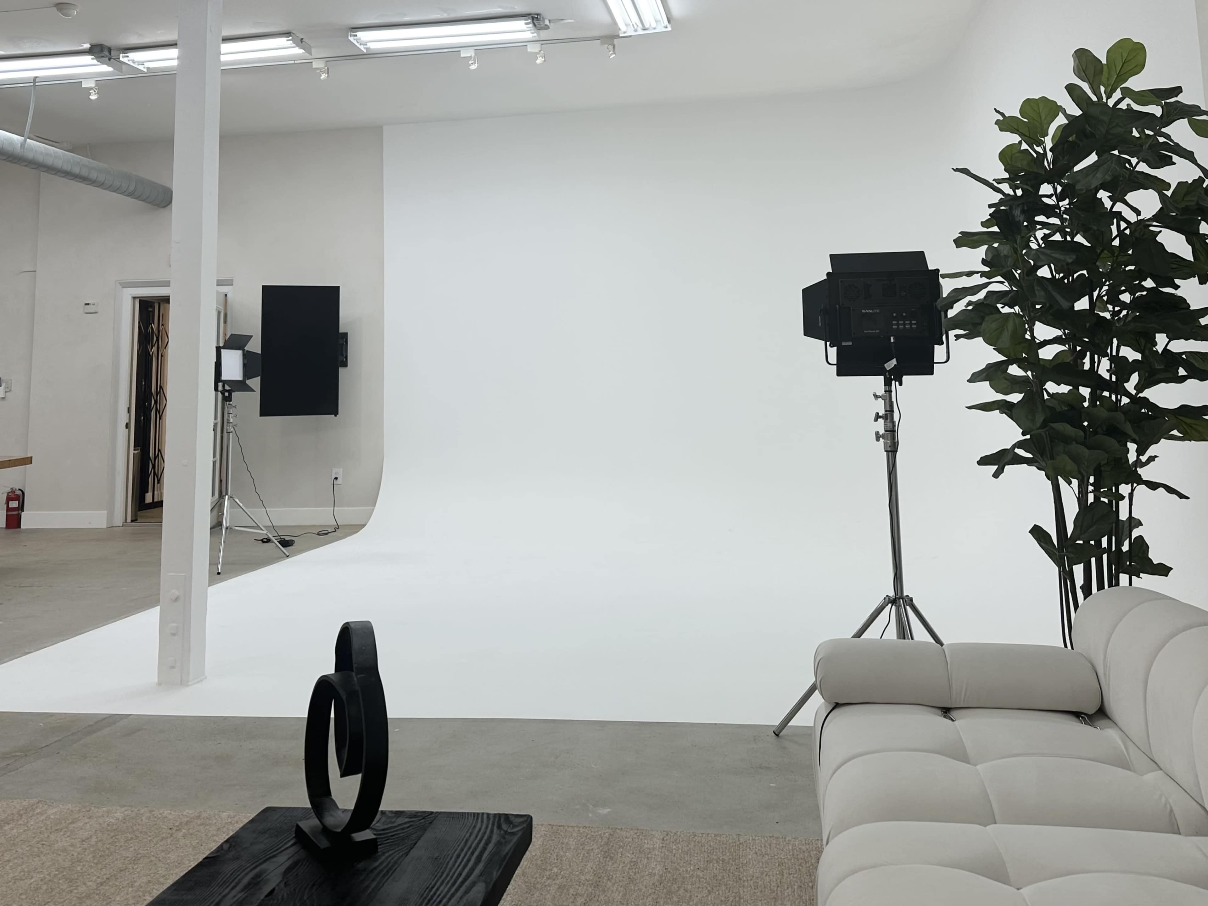 A minimalist photo studio featuring a white backdrop, lighting equipment, potted plants, a light-colored couch, and a wooden table.