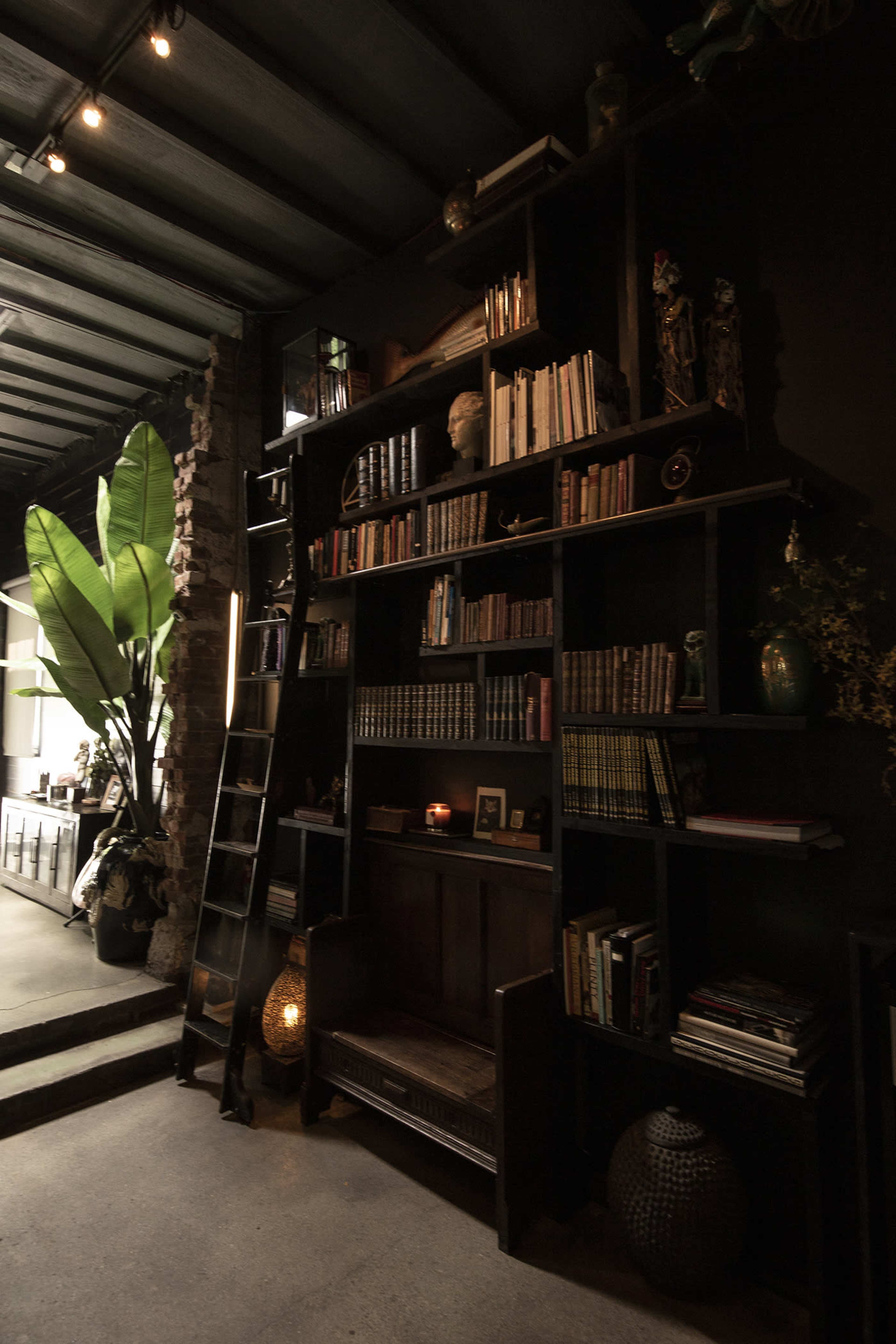 The image shows a tall bookshelf filled with books and decorative items, accompanied by a wooden ladder, large potted plants, and ambient lighting in a cozy interior space.