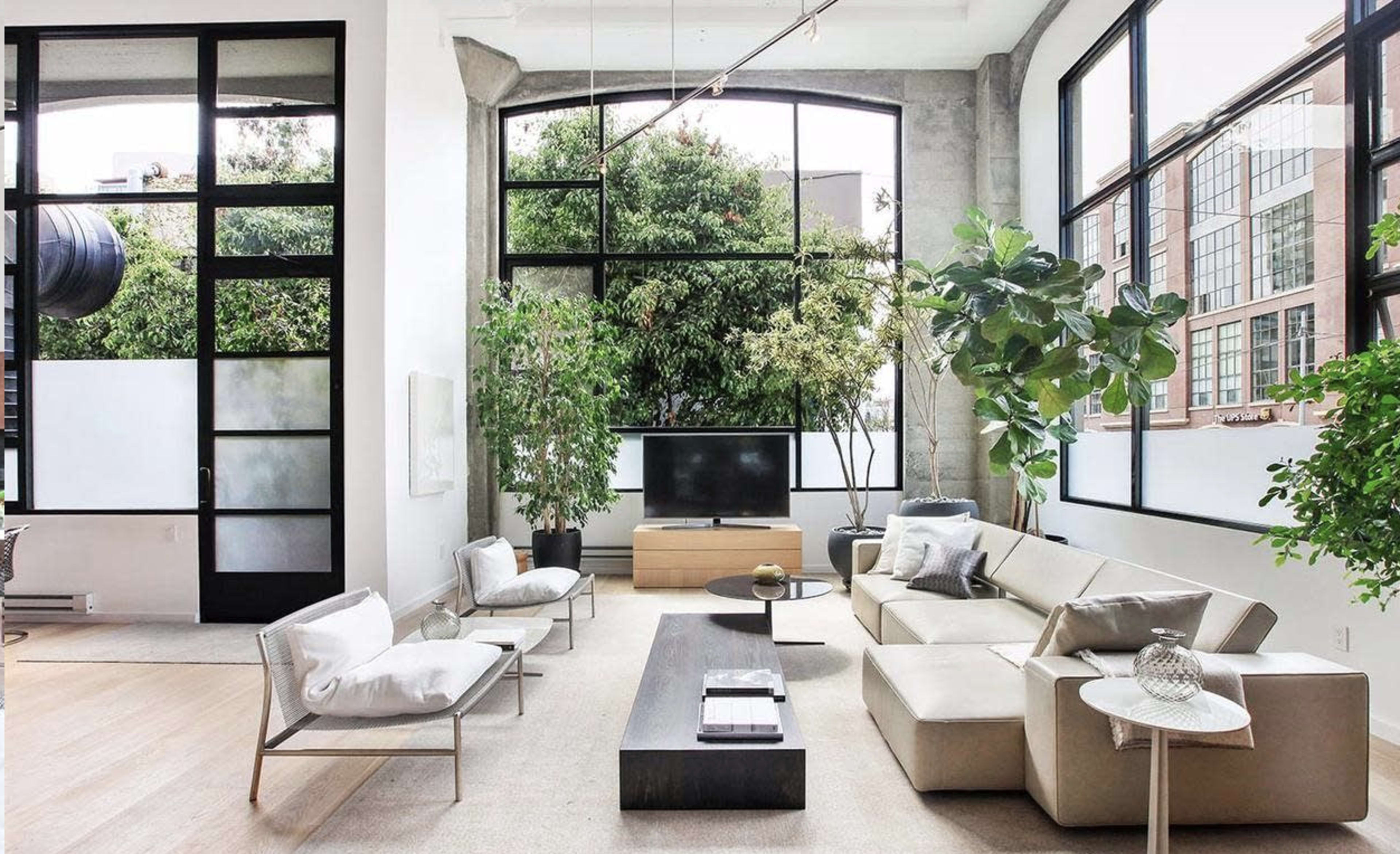 A modern living space with large windows, a minimalist sofa arrangement, and indoor plants.