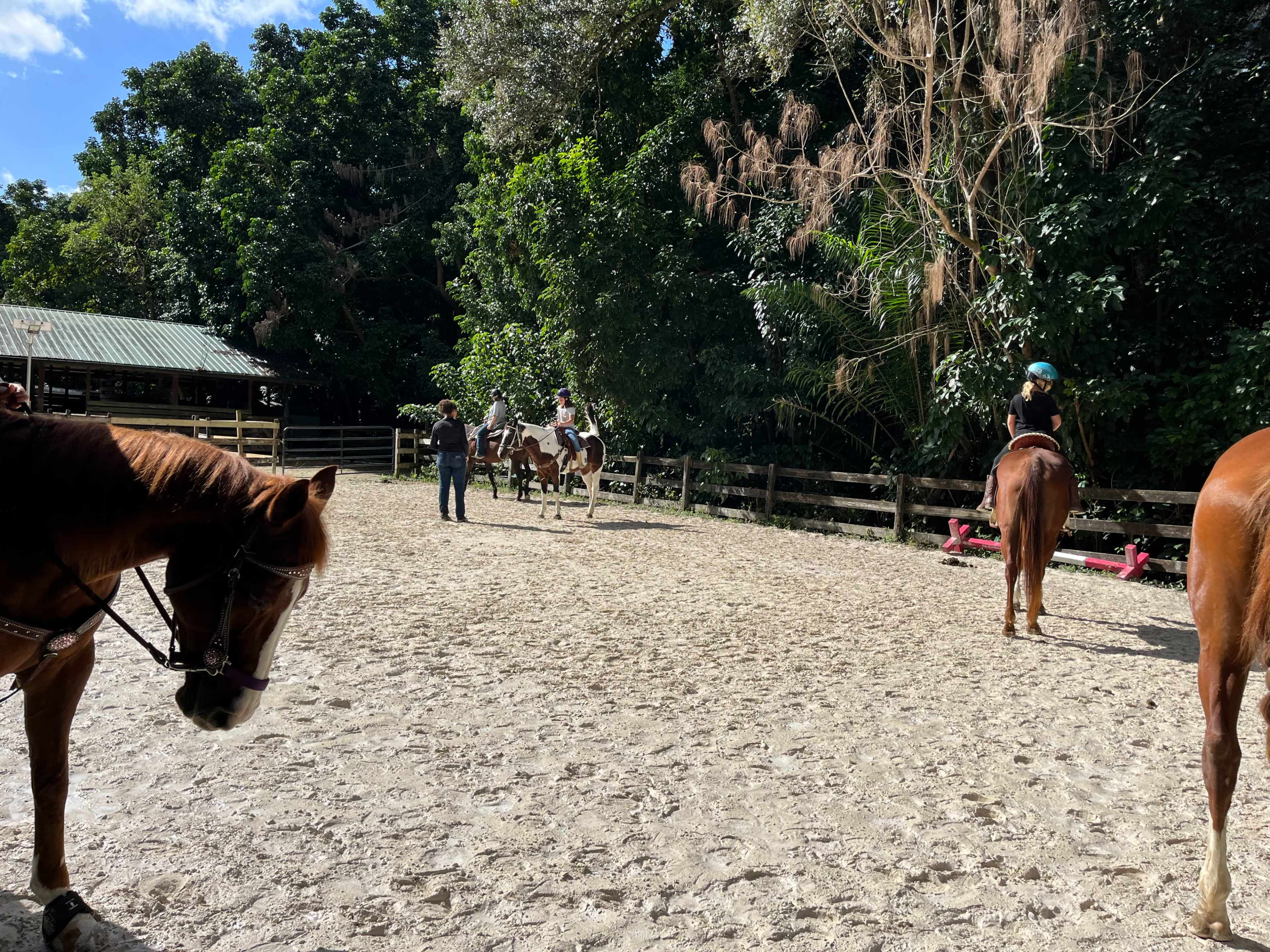 Rustic Barn with Horses Onsite Image in Davie, Davie, FL
