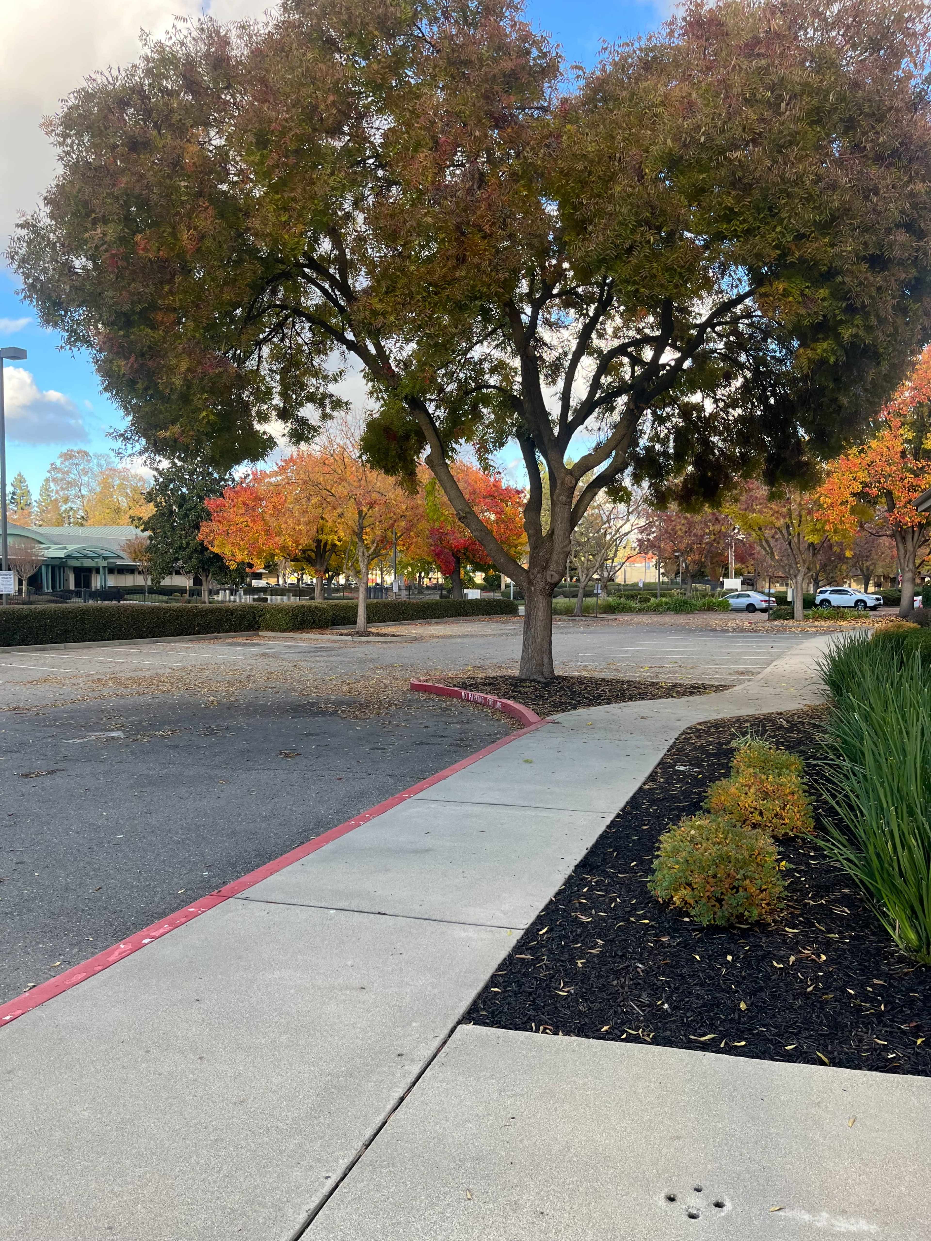 Versatile Outdoor Space for Flee Markets, Craft Fairs, & Community Events Image in North Sacramento, Sacramento, CA