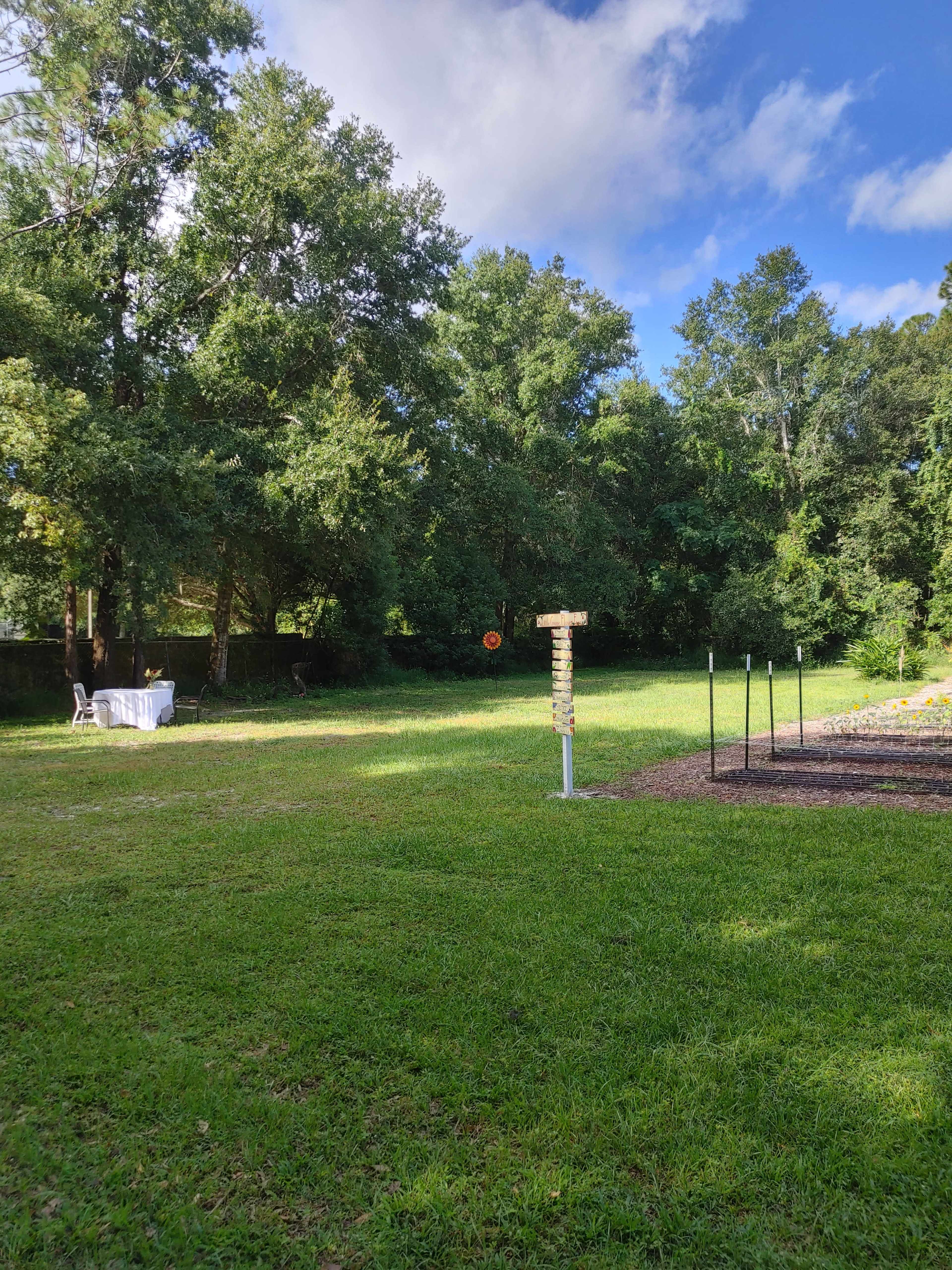 Quiet and Charming Flower Field Image in , Winter Garden, FL