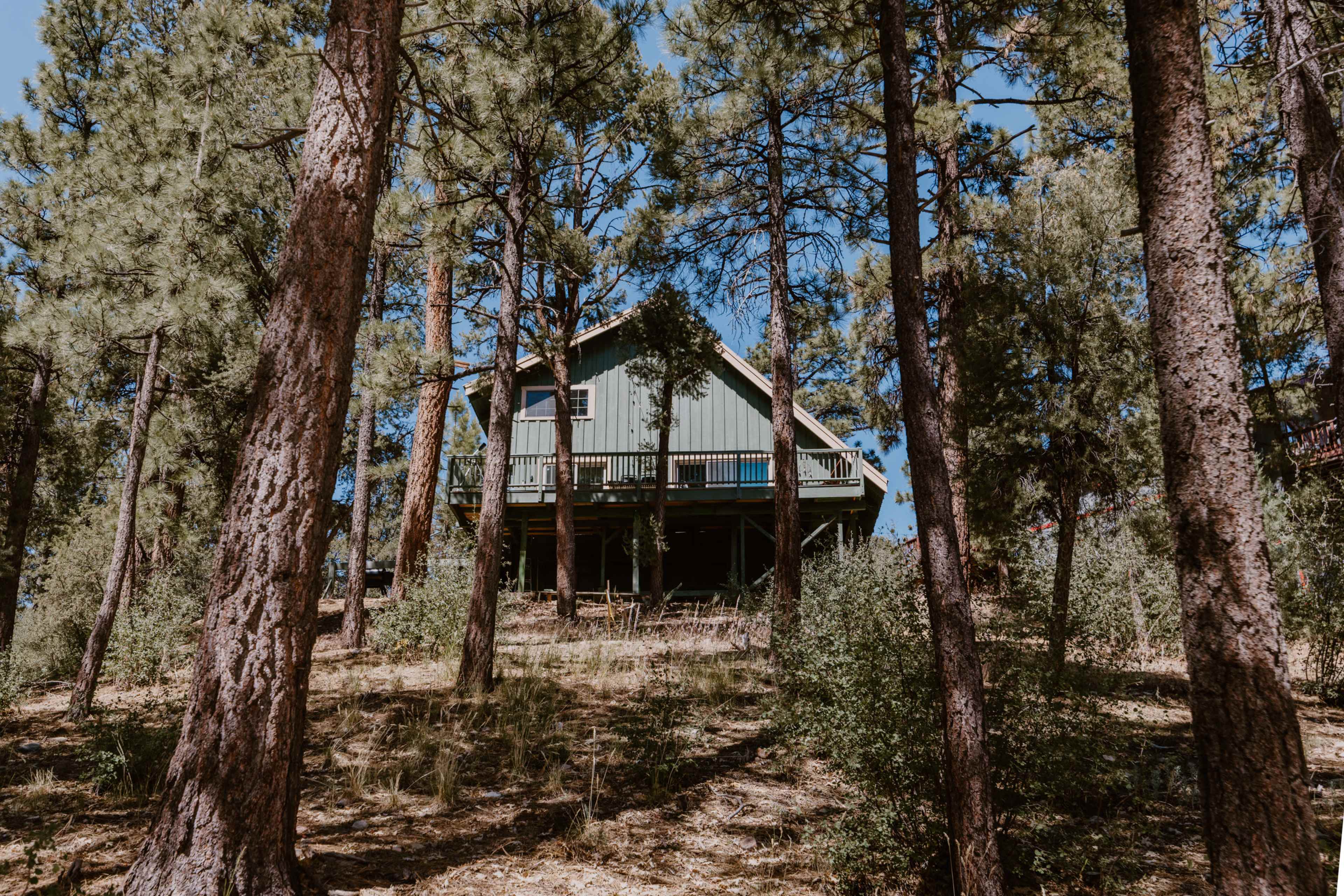 A green, wooden cabin stands elevated on stilts among tall pine trees in a forested area.