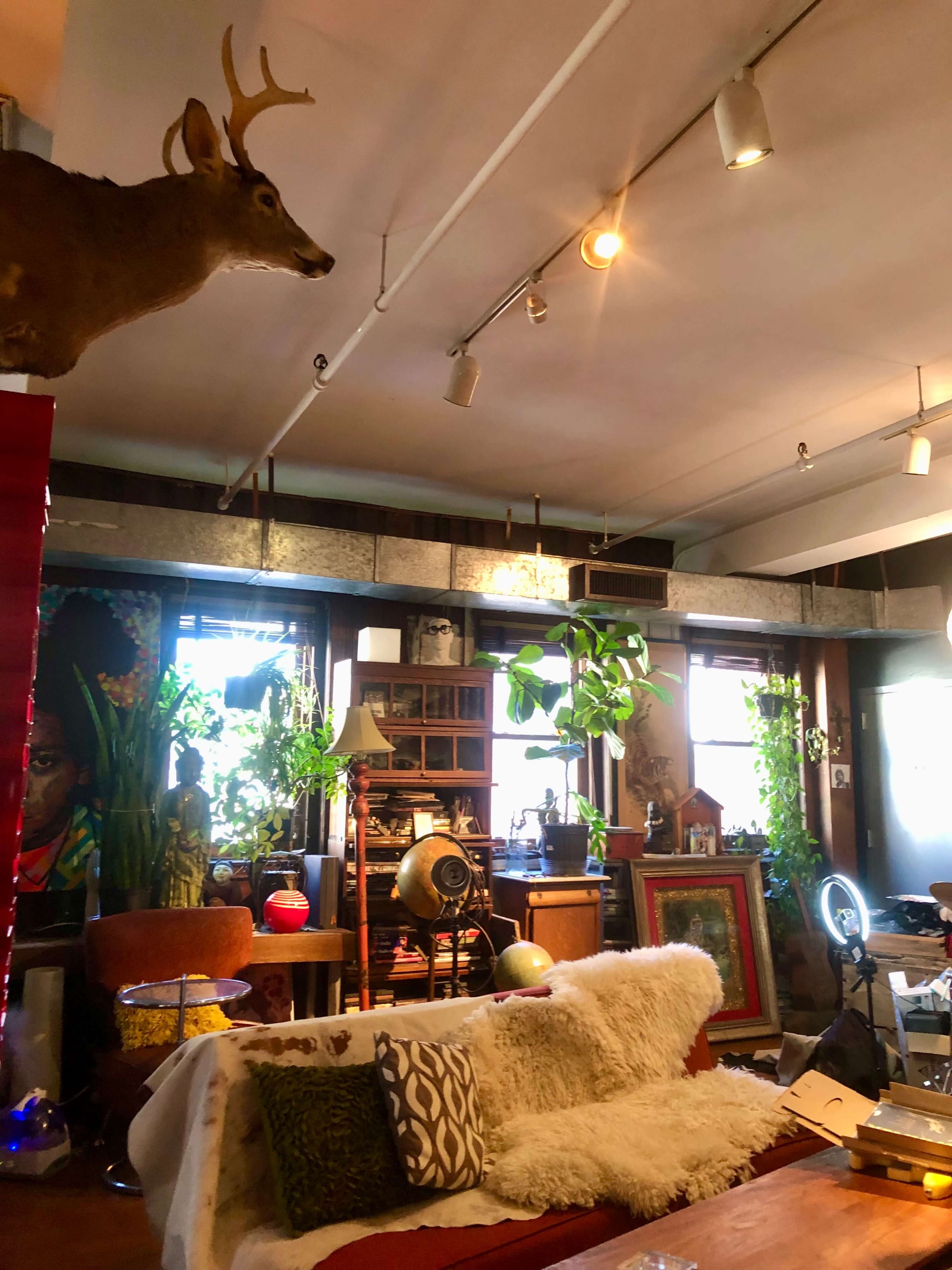 A cozy living space featuring a mounted deer head, various plants, eclectic furniture, and decorative items arranged around a sofa.