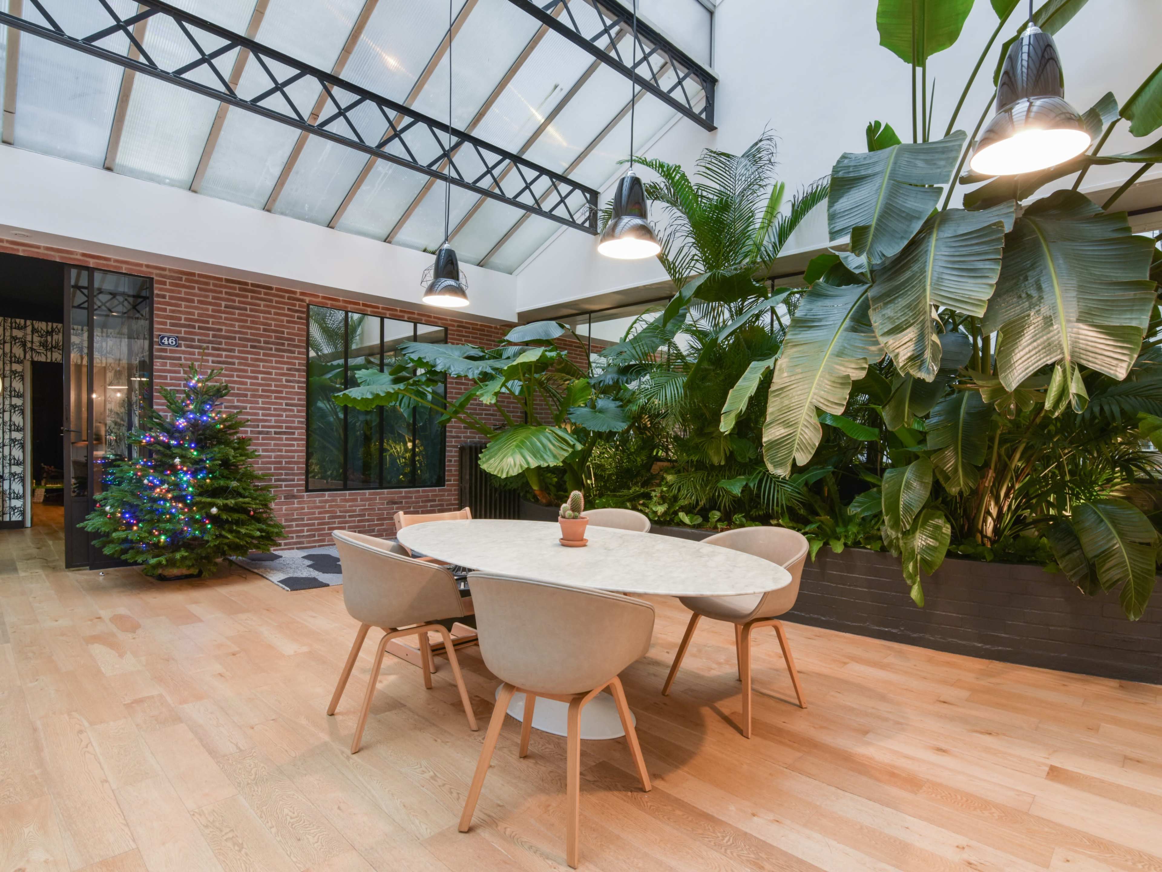 A dining area with a round table surrounded by chairs is set among lush indoor plants and a decorated Christmas tree.