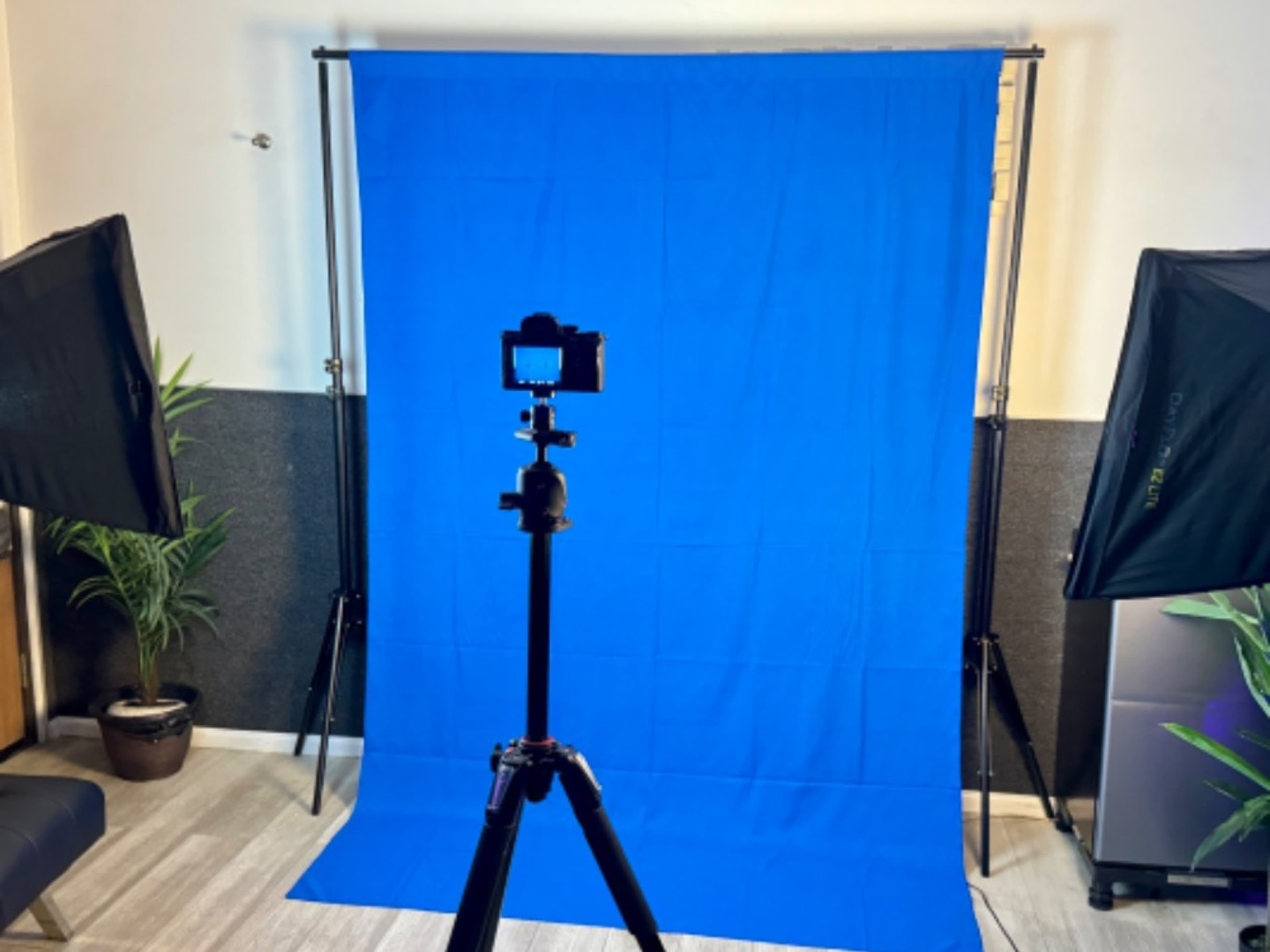 Green/Blue Screen backdrop