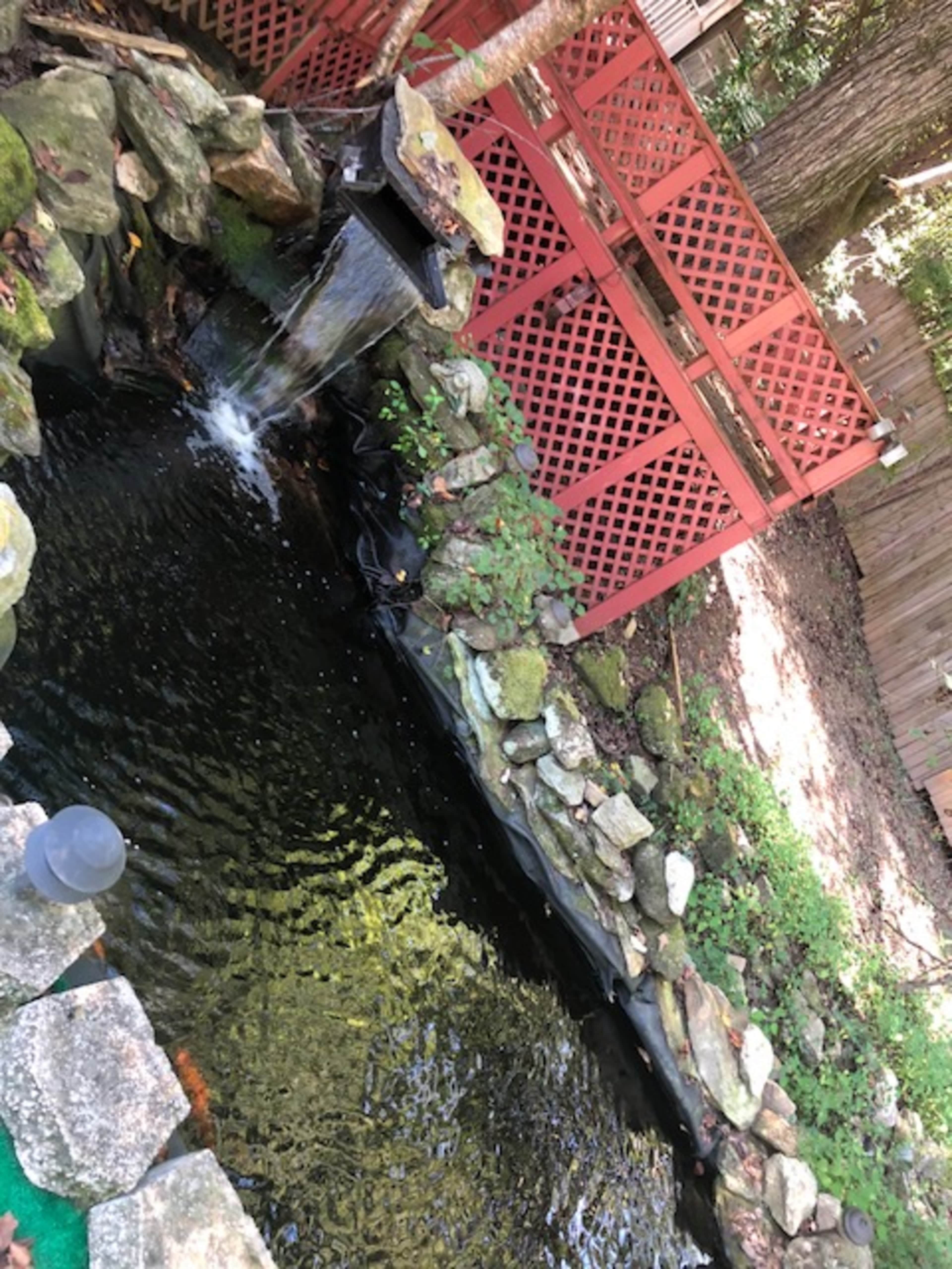 A small pond surrounded by rocks and plants, with a waterfall feature and a wooden lattice fence in the background.