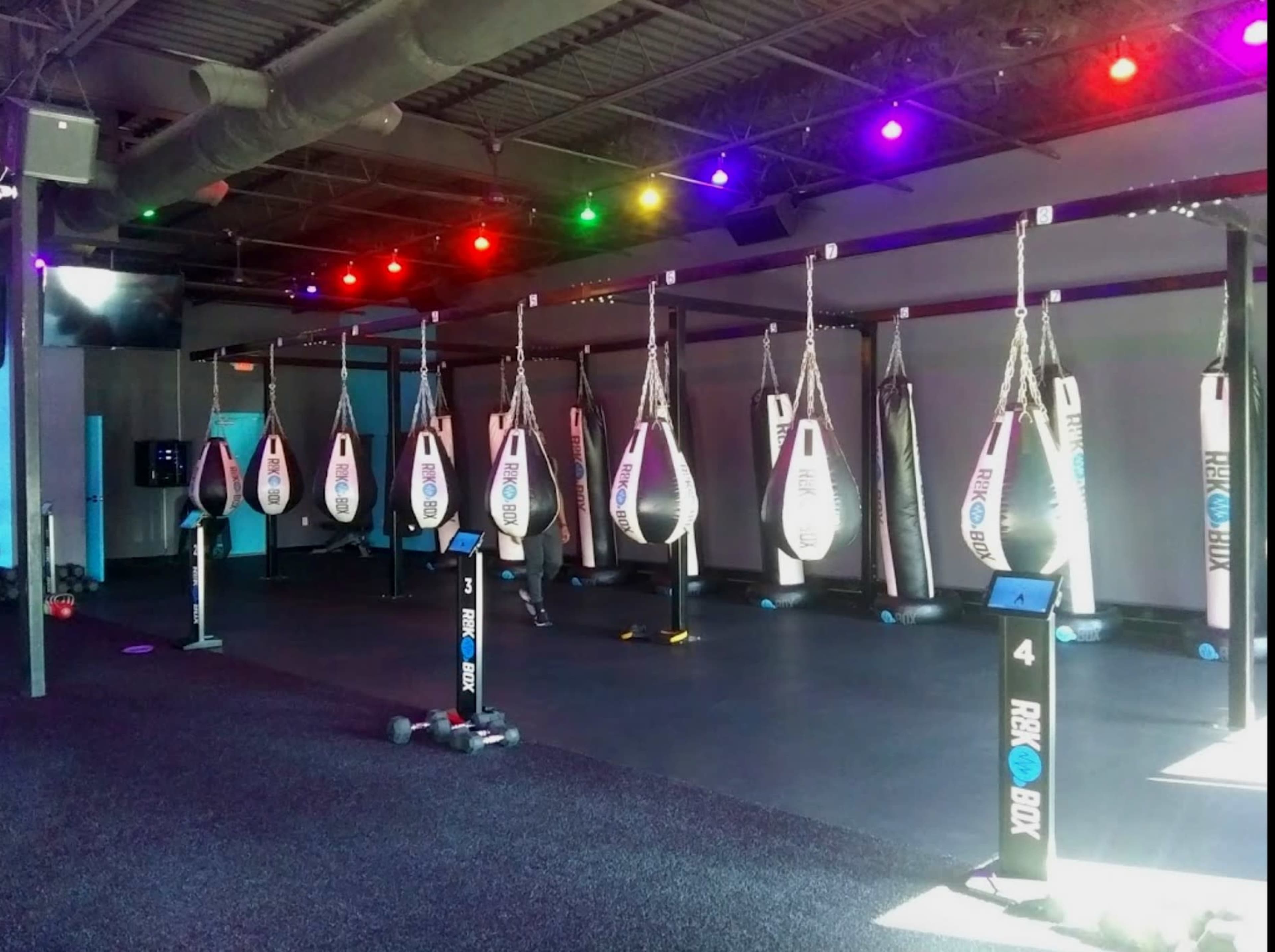 An indoor boxing gym featuring multiple heavy bags suspended from the ceiling, with colorful lights illuminating the space.
