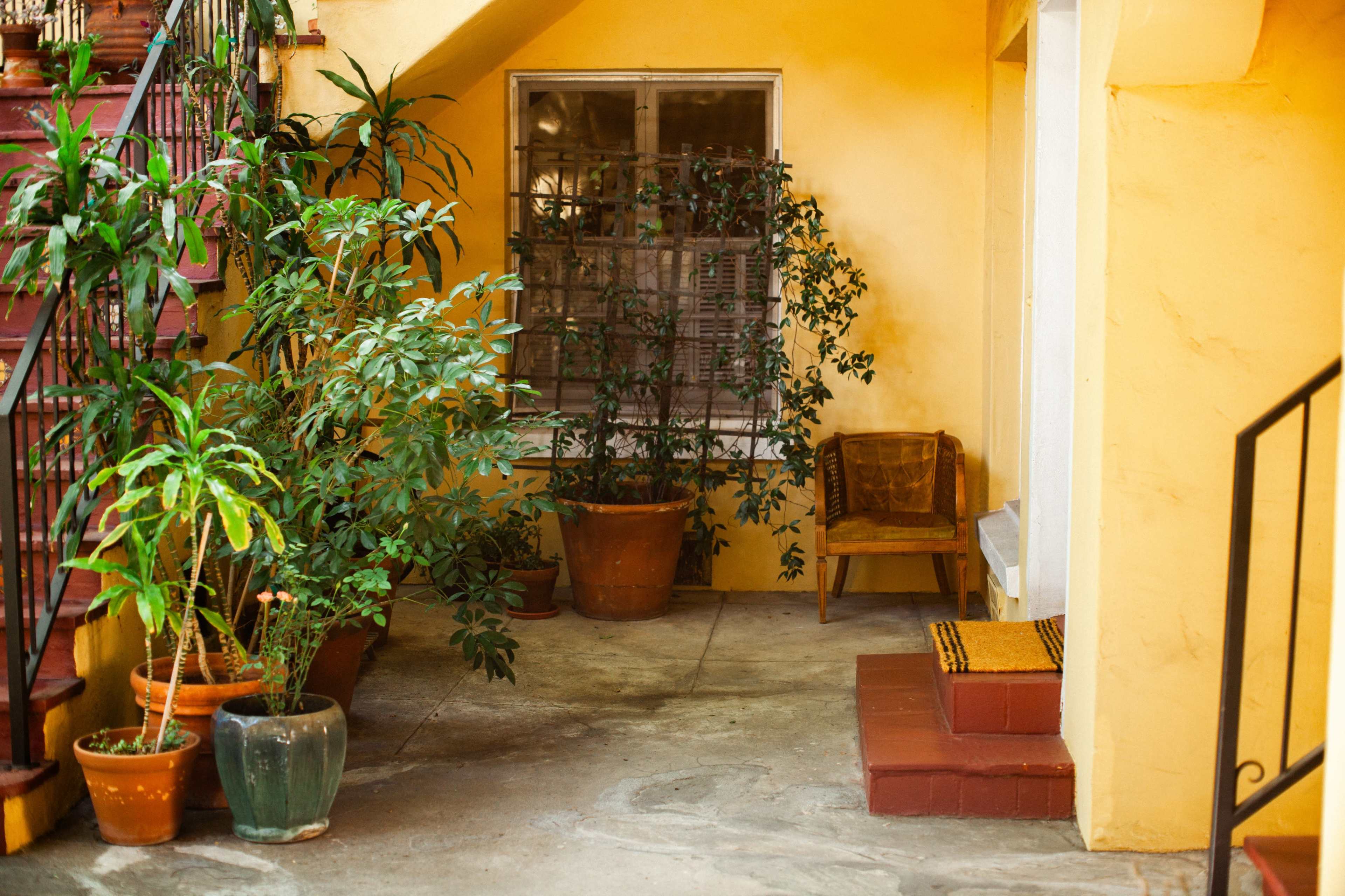 Bohemian Courtyard Image in Central LA, Los Angeles, CA