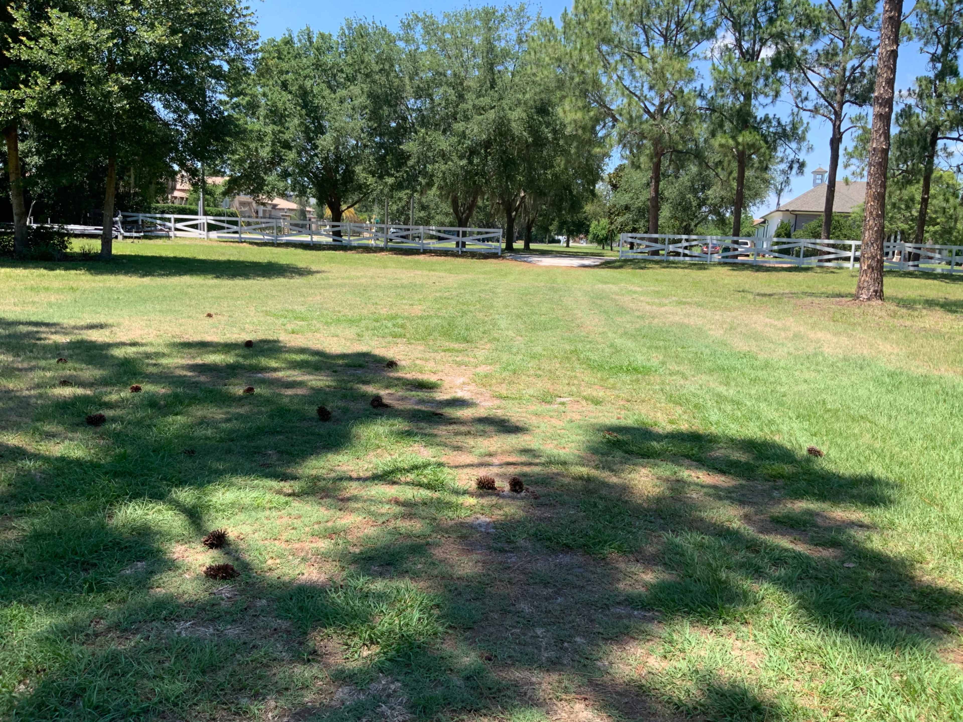 A grassy area with scattered clumps of dark soil and trees providing shade.