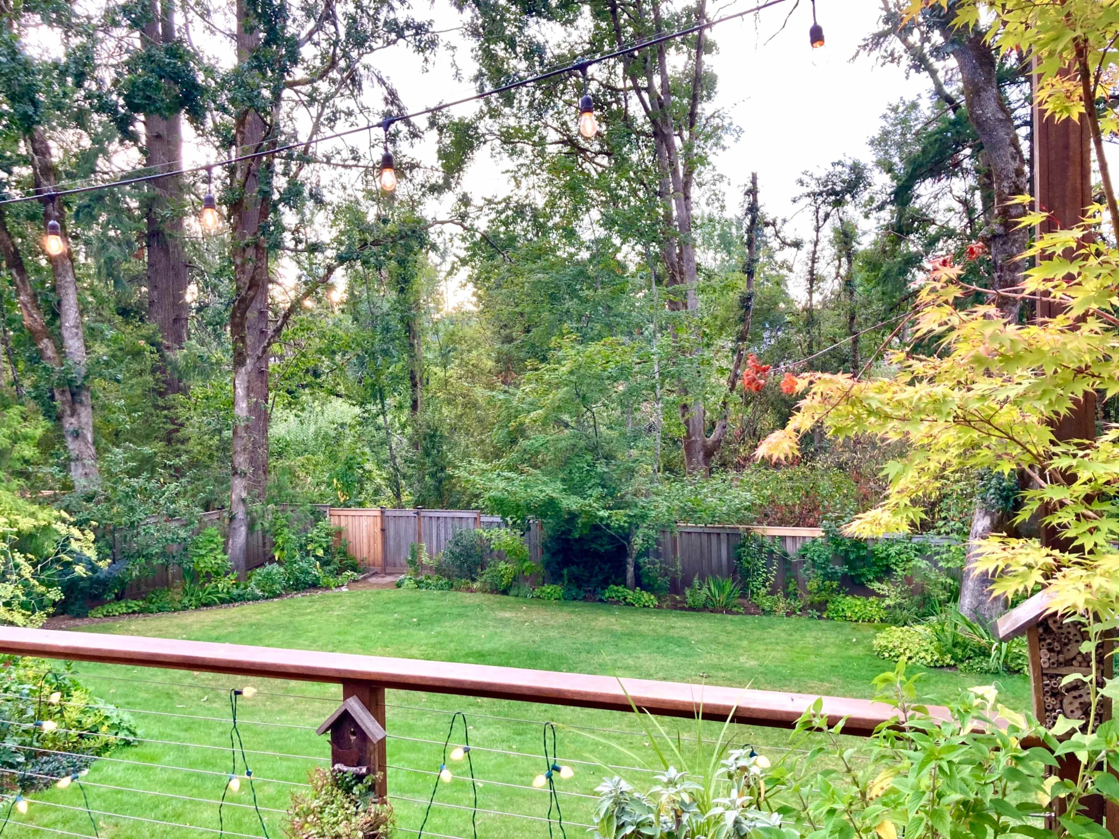 A backyard scene features a well-maintained lawn surrounded by trees and a wooden fence, with string lights overhead.