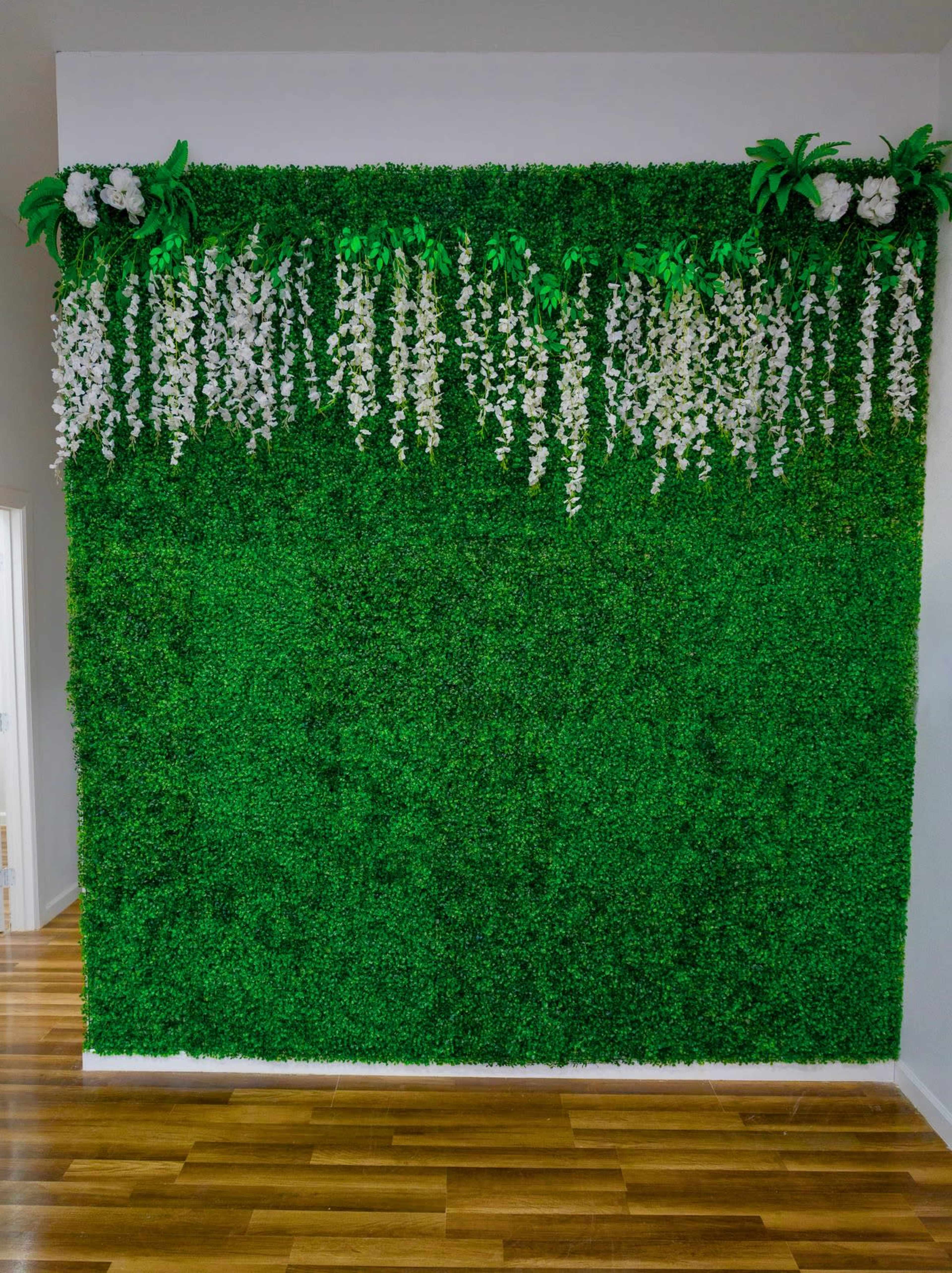 El Paso Photo Studio Image in , El Paso, TX