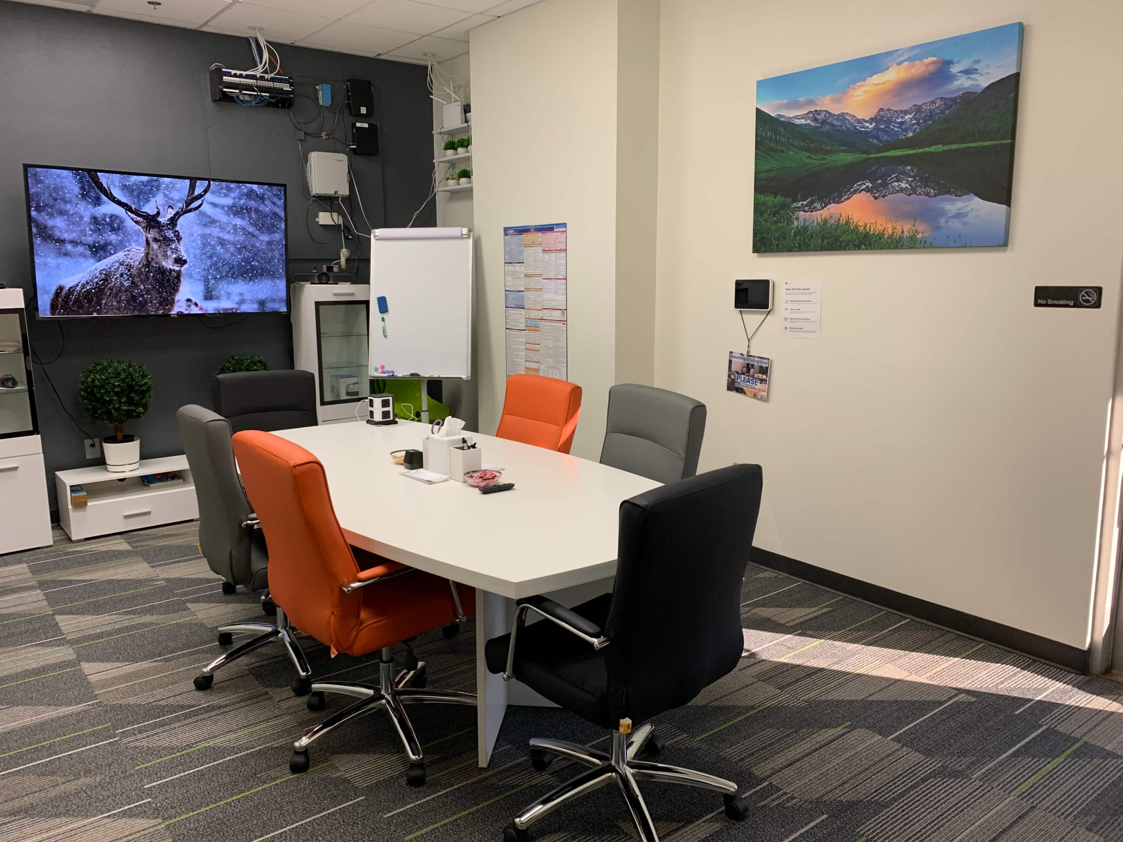 A modern conference room with a large white table surrounded by colorful chairs, a wall-mounted TV displaying a deer, and a landscape painting on the opposite wall.