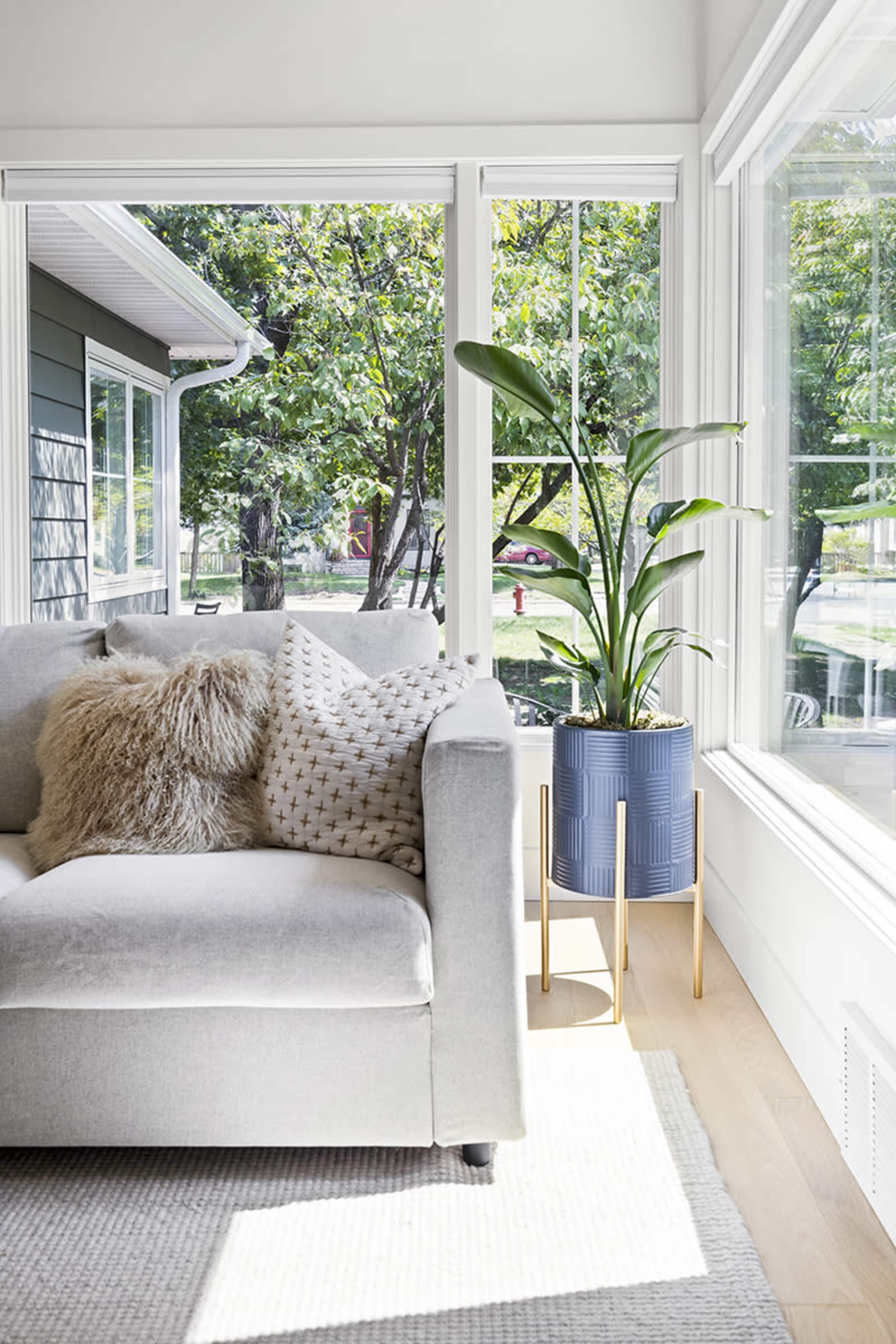 A light-filled living room features a gray sofa adorned with decorative pillows, next to a potted plant on a gold-leg stand, with large windows offering views of greenery outside.