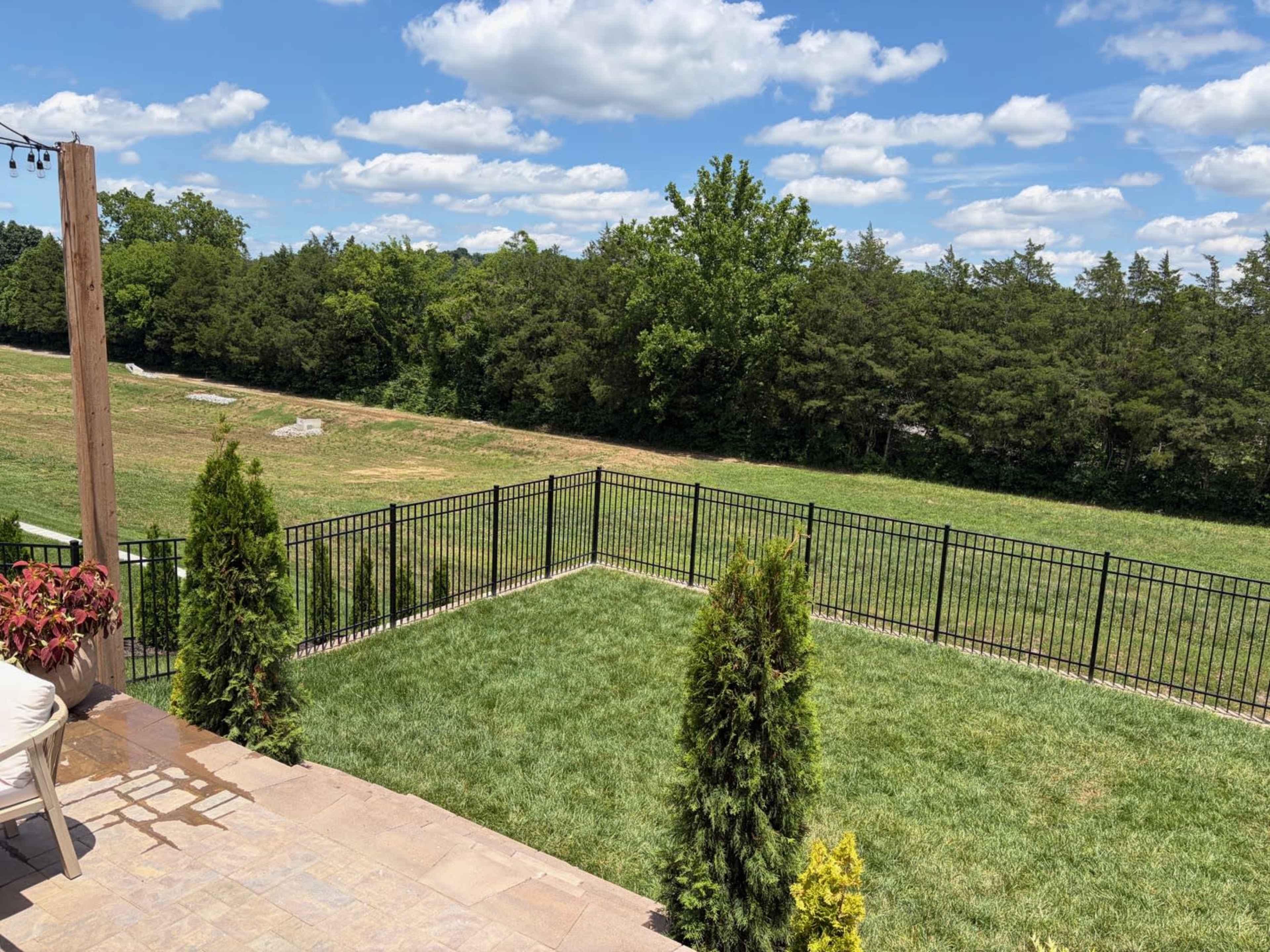 The image shows a spacious backyard enclosed by a black metal fence, with a grassy area and trees in the background under a partly cloudy sky.