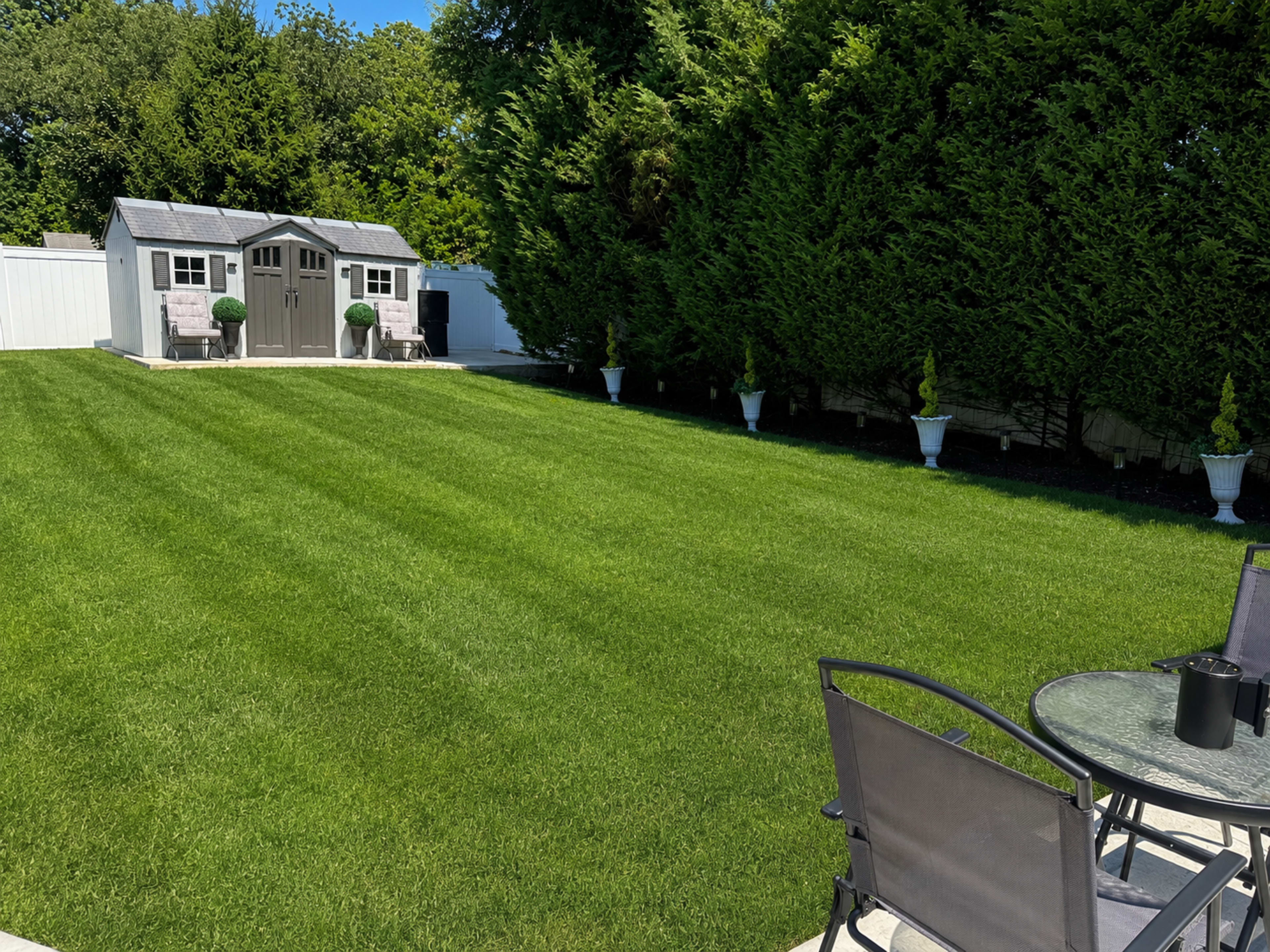 The image shows a neatly maintained lawn featuring a small shed in the background and several decorative plants in white pots along the perimeter.