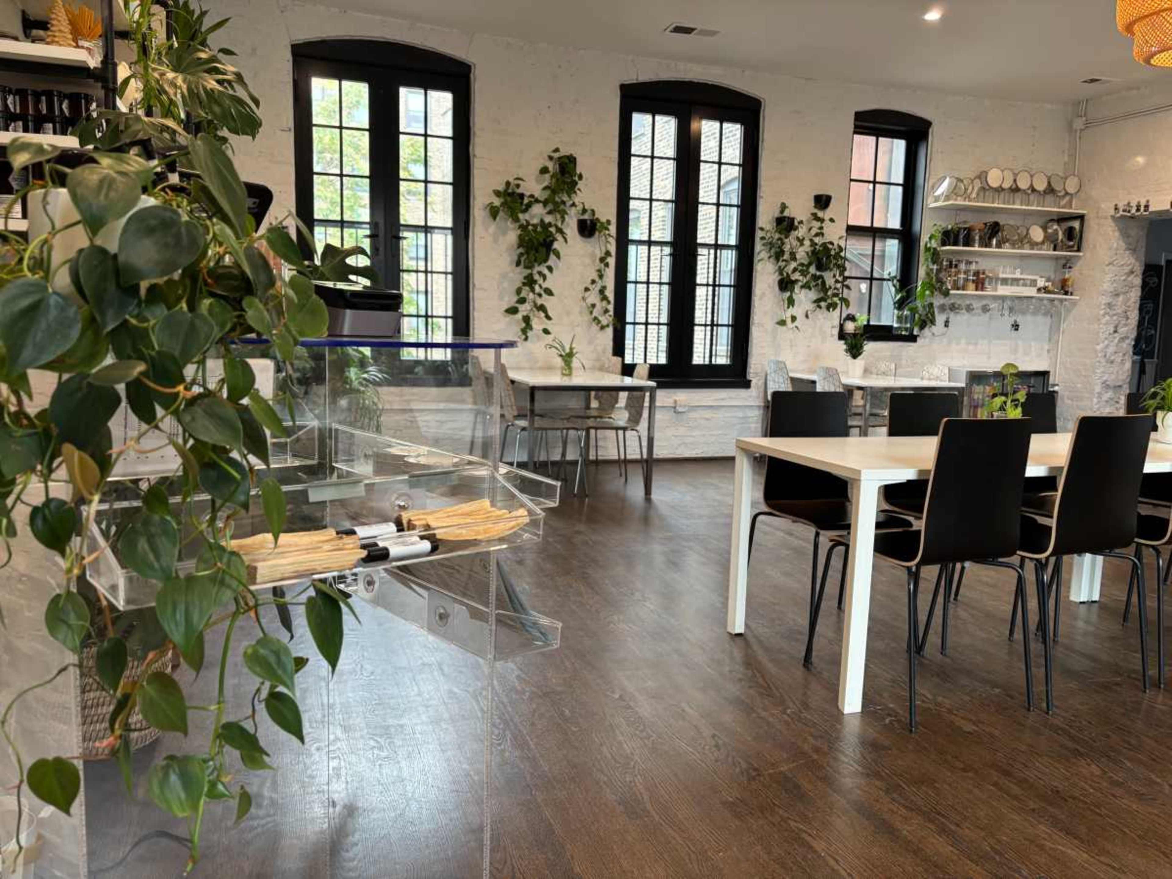 The image shows a spacious, well-lit interior of a room featuring a white brick wall, a dining table with chairs, and various plants placed around the space.