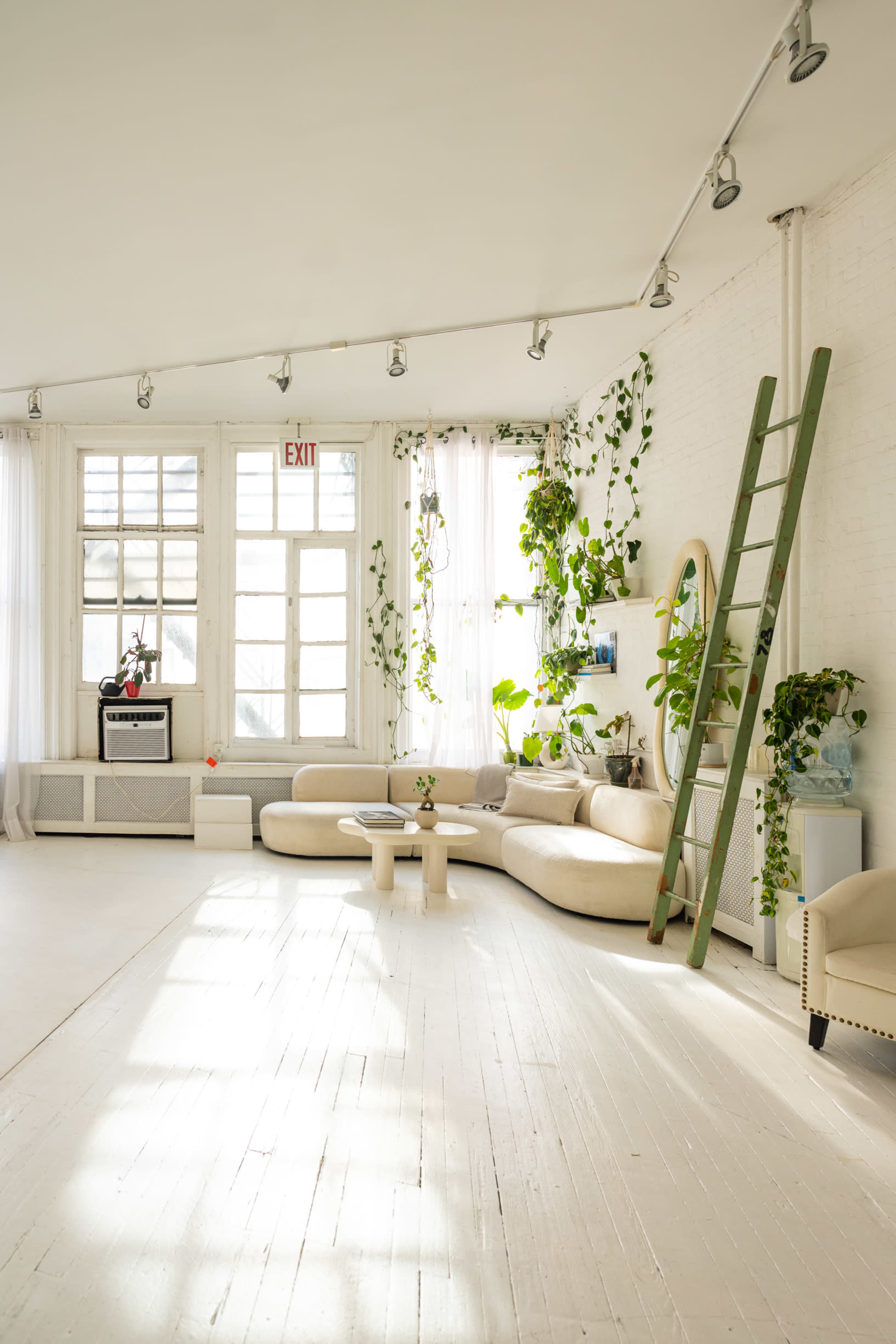 The image depicts a bright, airy living space with a curved sofa, potted plants, large windows, and a wooden ladder against the wall.