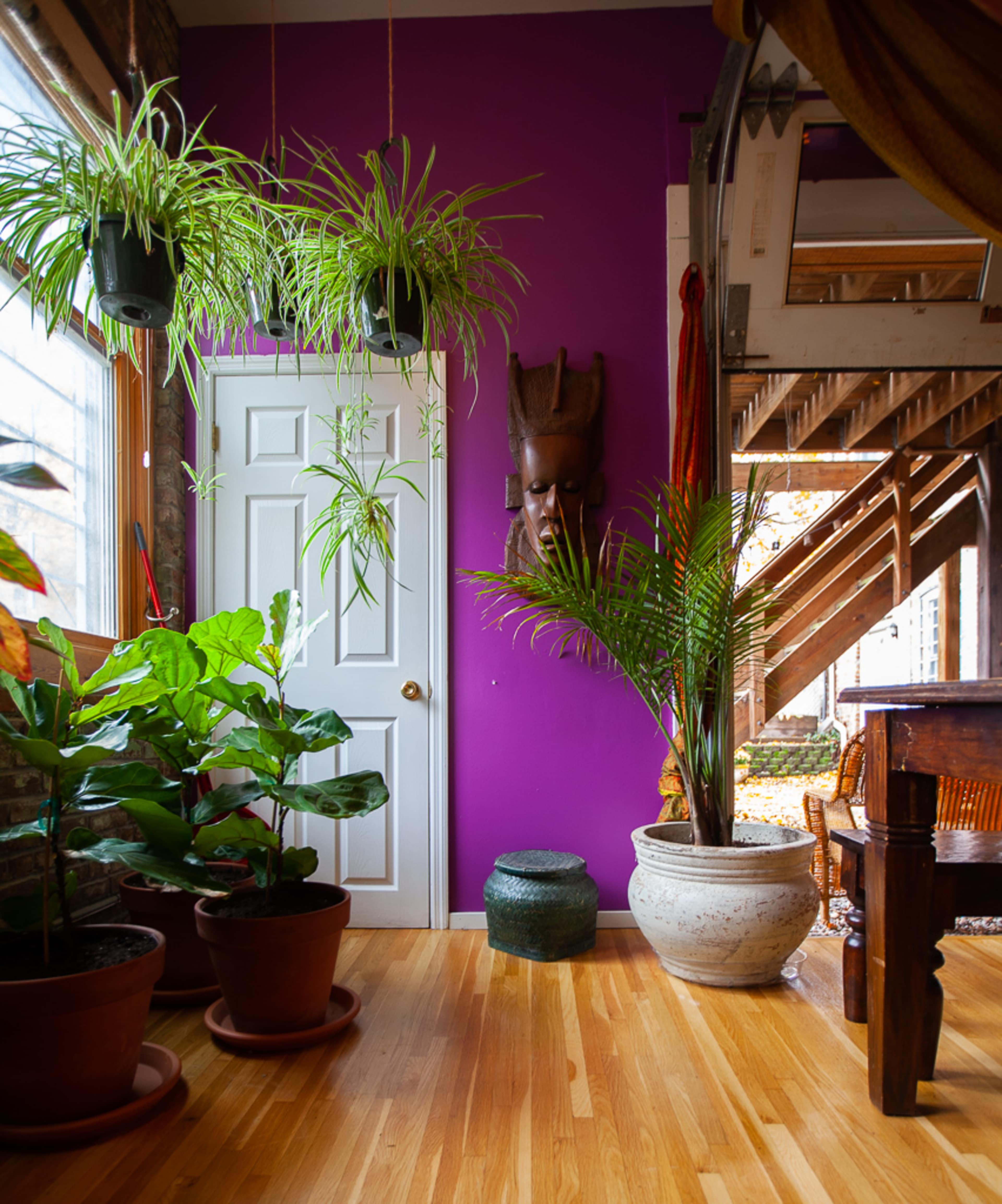 A bright purple wall adorned with hanging plants, a wooden door, and various potted plants arranged around a corner with a wooden table nearby.