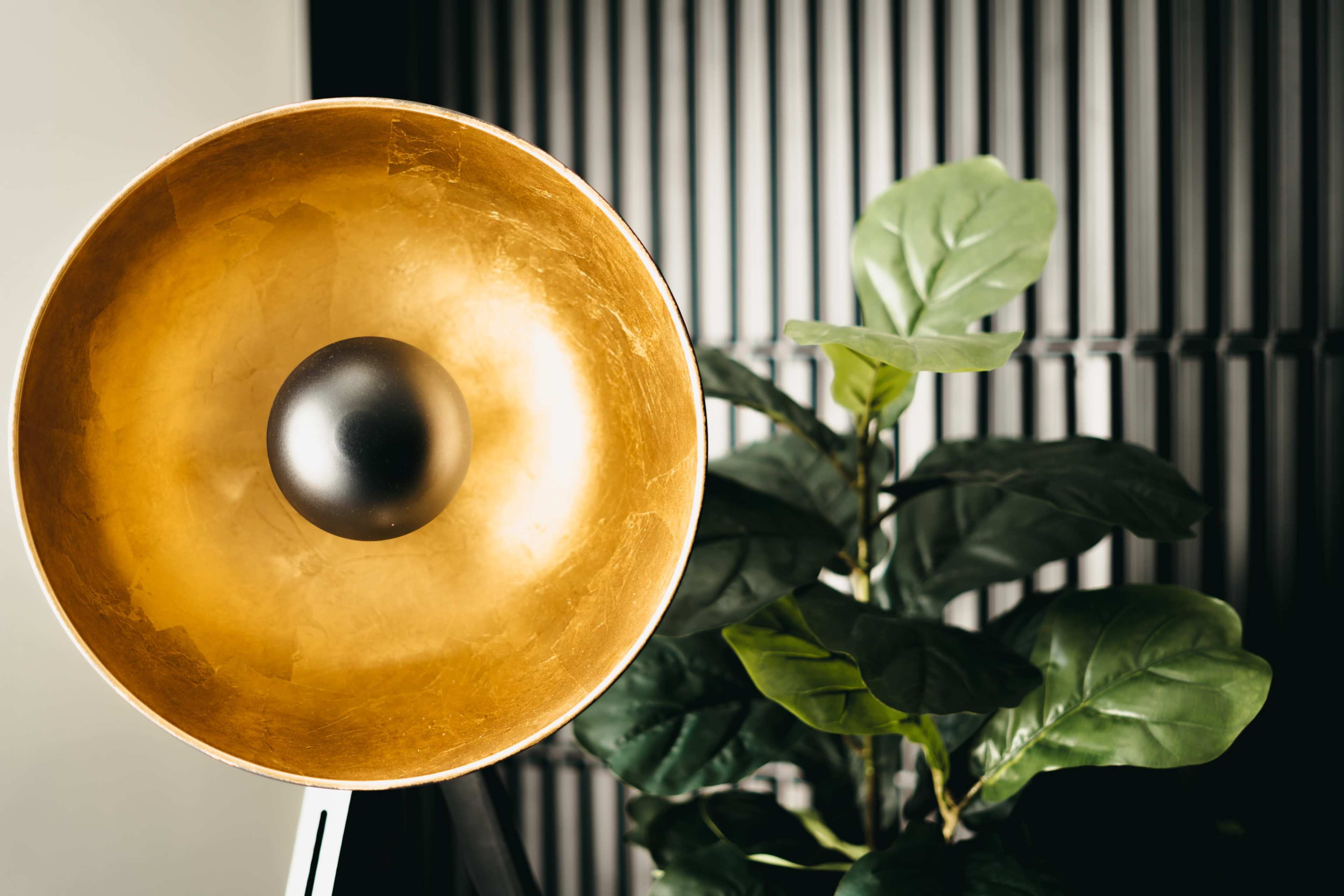 A gold bowl-shaped lamp is positioned next to a green fiddle leaf fig plant against a textured black wall.