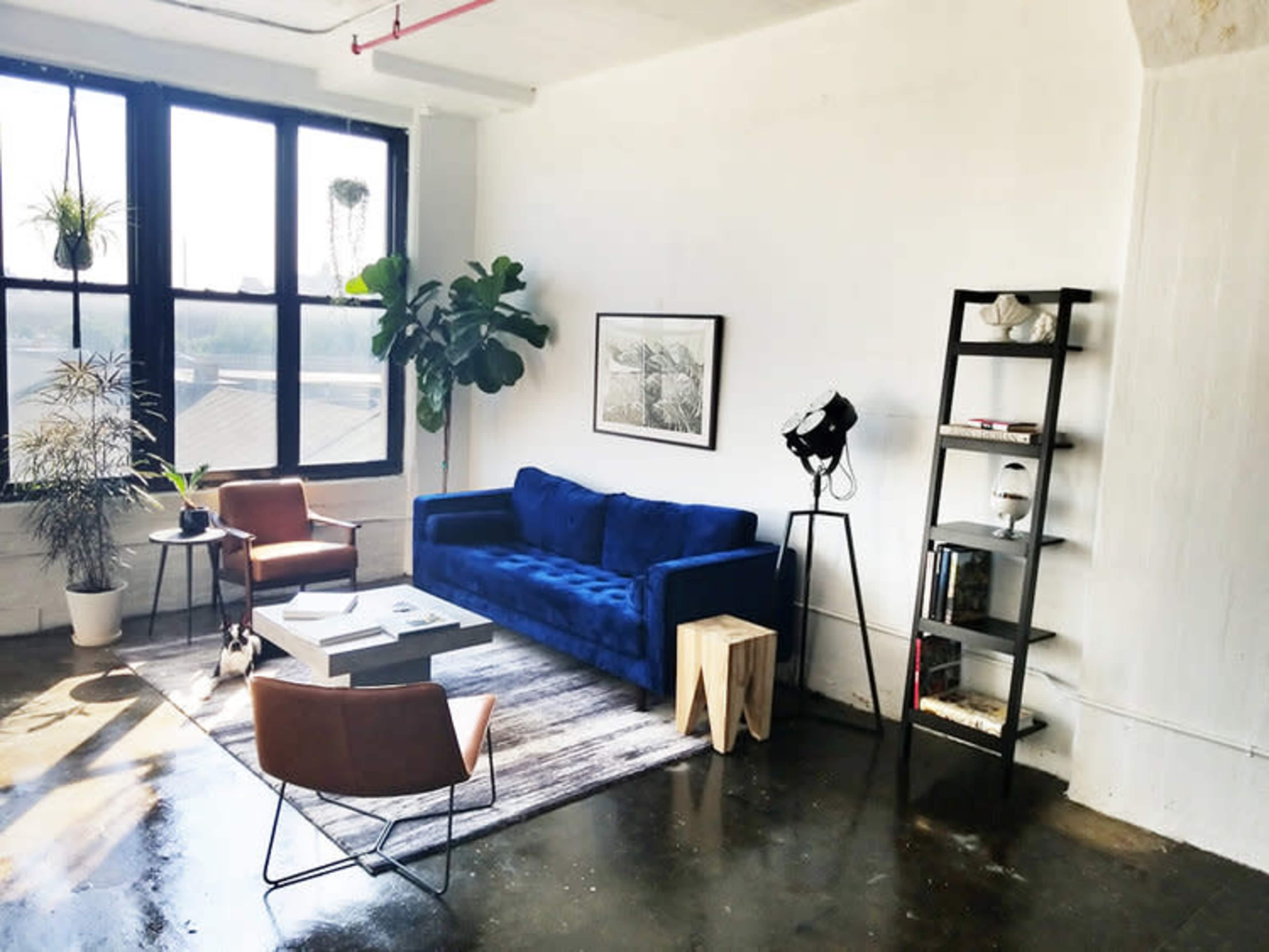 A modern living room with a blue sofa, two brown chairs, a wooden side table, a black shelving unit, and plants beside large windows.
