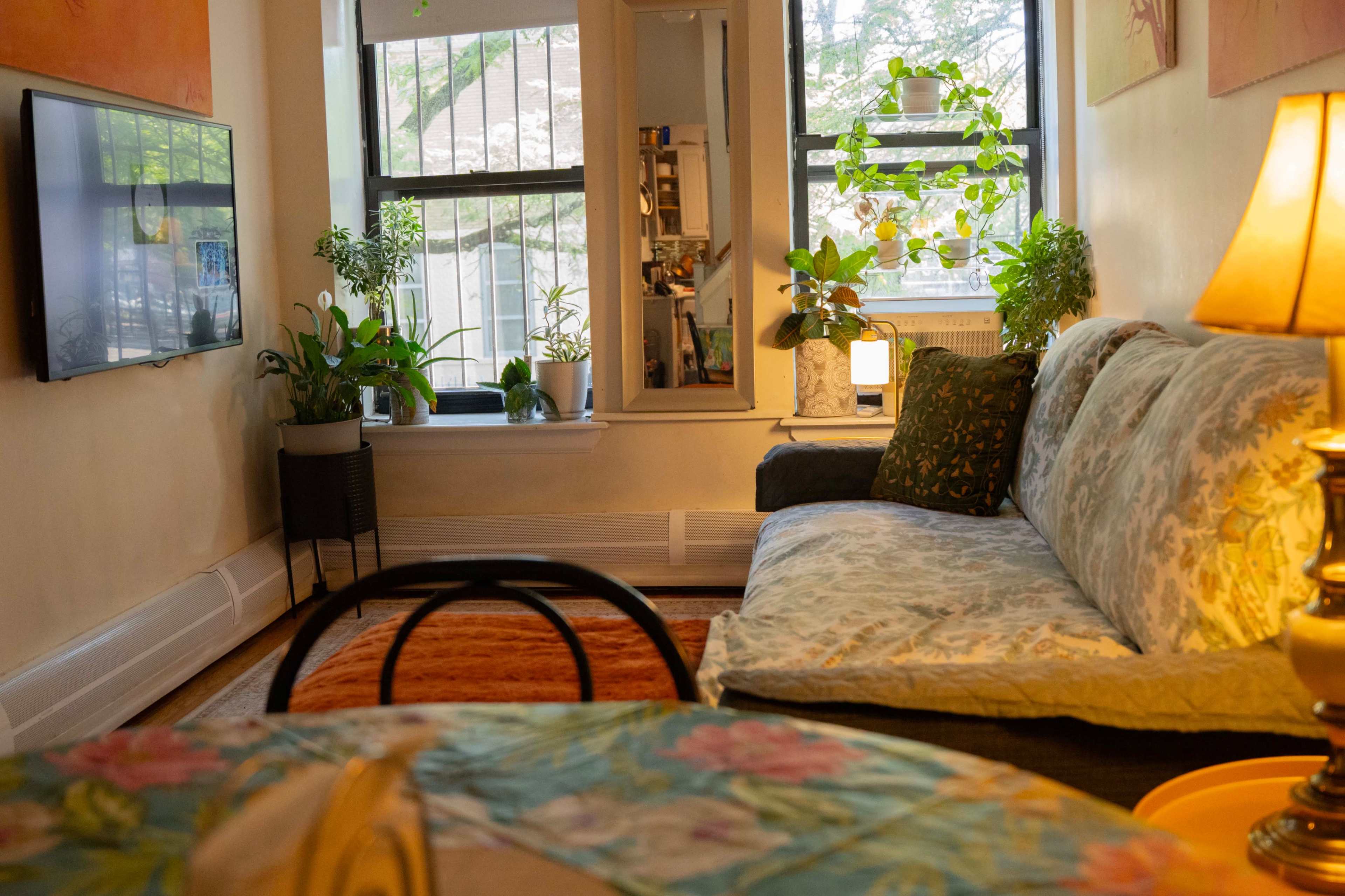 A cozy living room features a floral-patterned sofa, multiple indoor plants, a television on the wall, and a soft lamp illuminating the space.