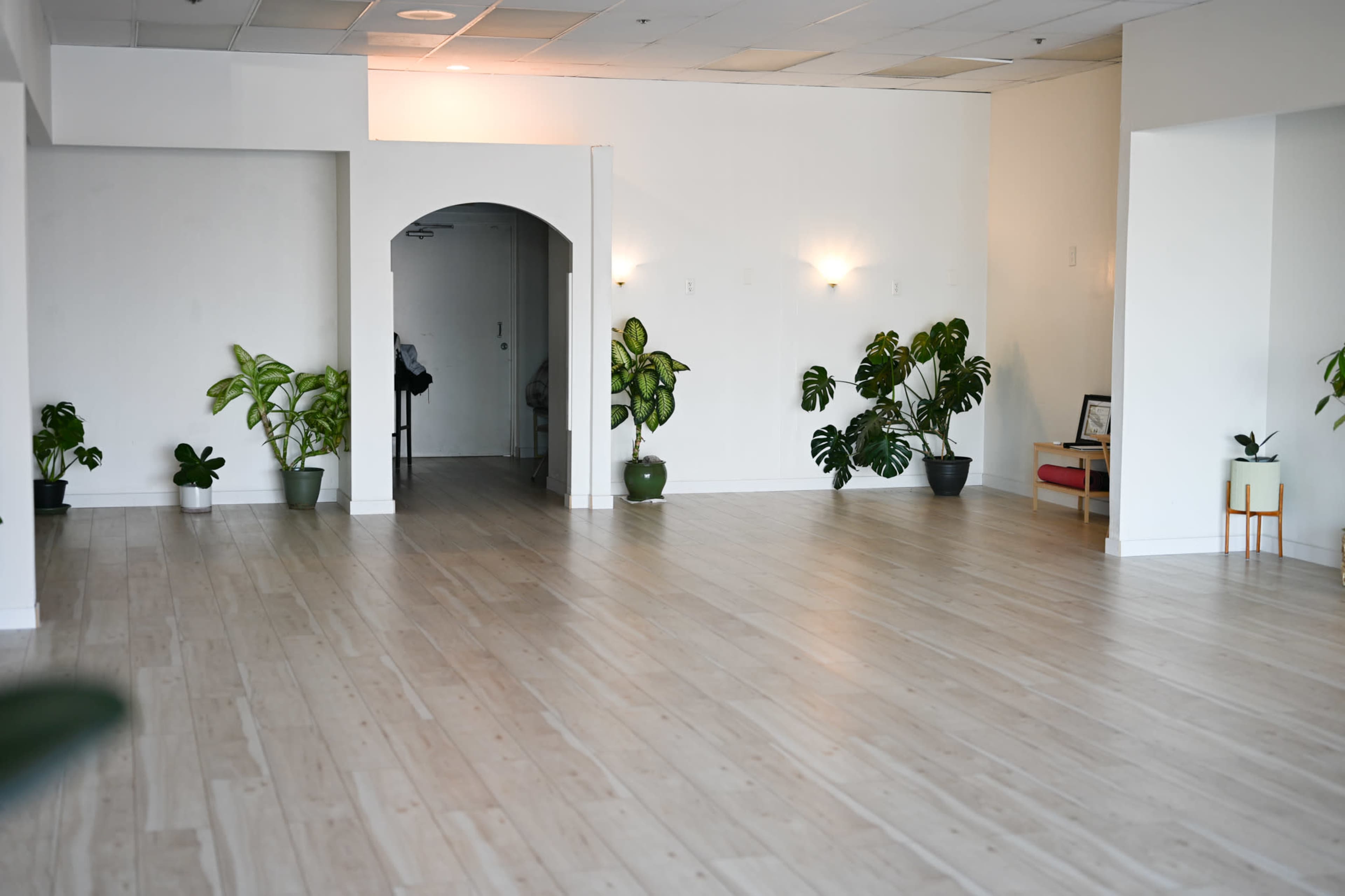 The image shows a spacious, well-lit room with light wooden flooring and several green potted plants arranged around the space.