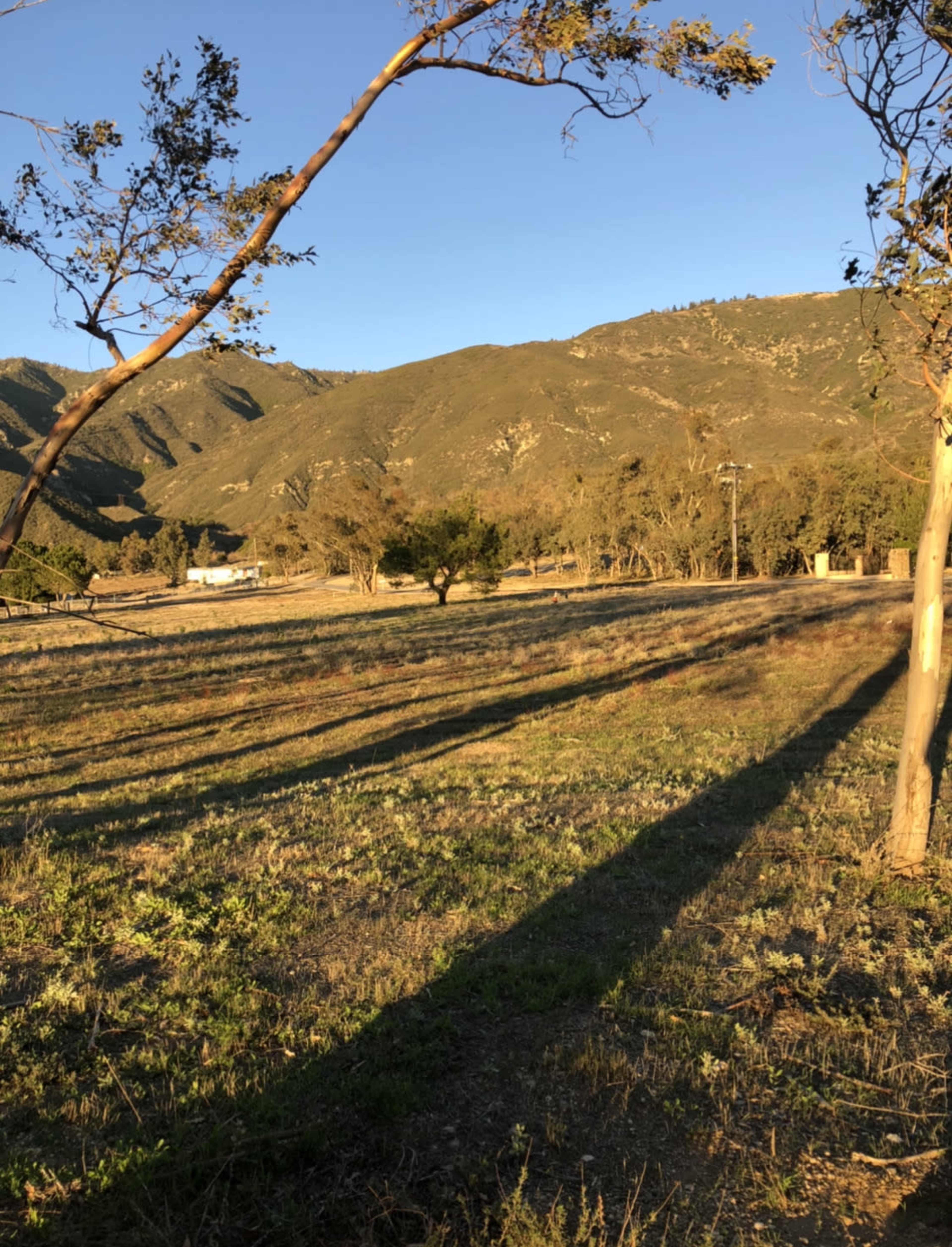 A grassy field with long shadows cast by trees, framed by a mountain range in the background under a clear sky.