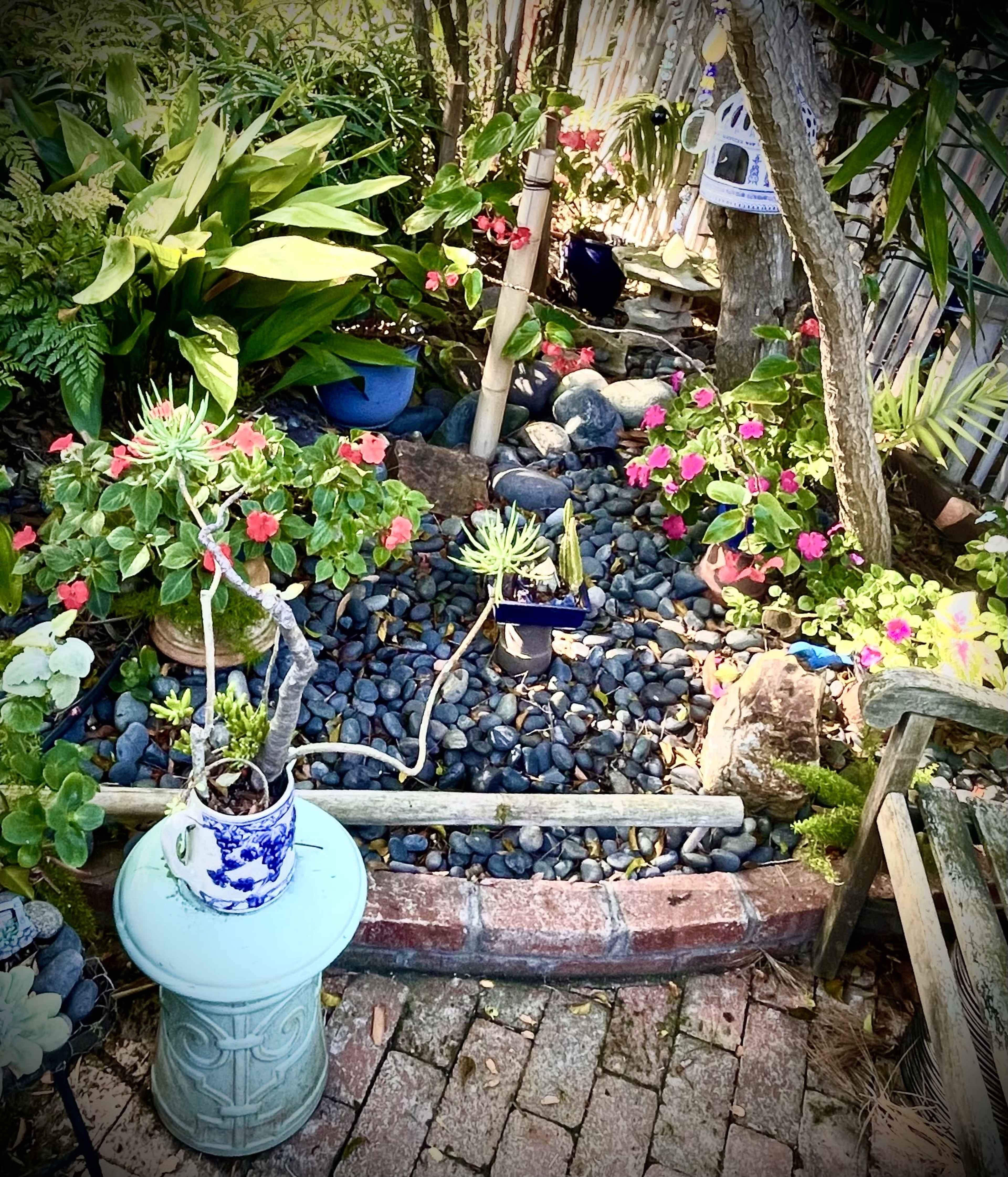 Gorgeous Bricked-In Backyard Botanical Art and Sculpture Garden on Canyon Near Downtown. Image in North Park, San Diego, CA