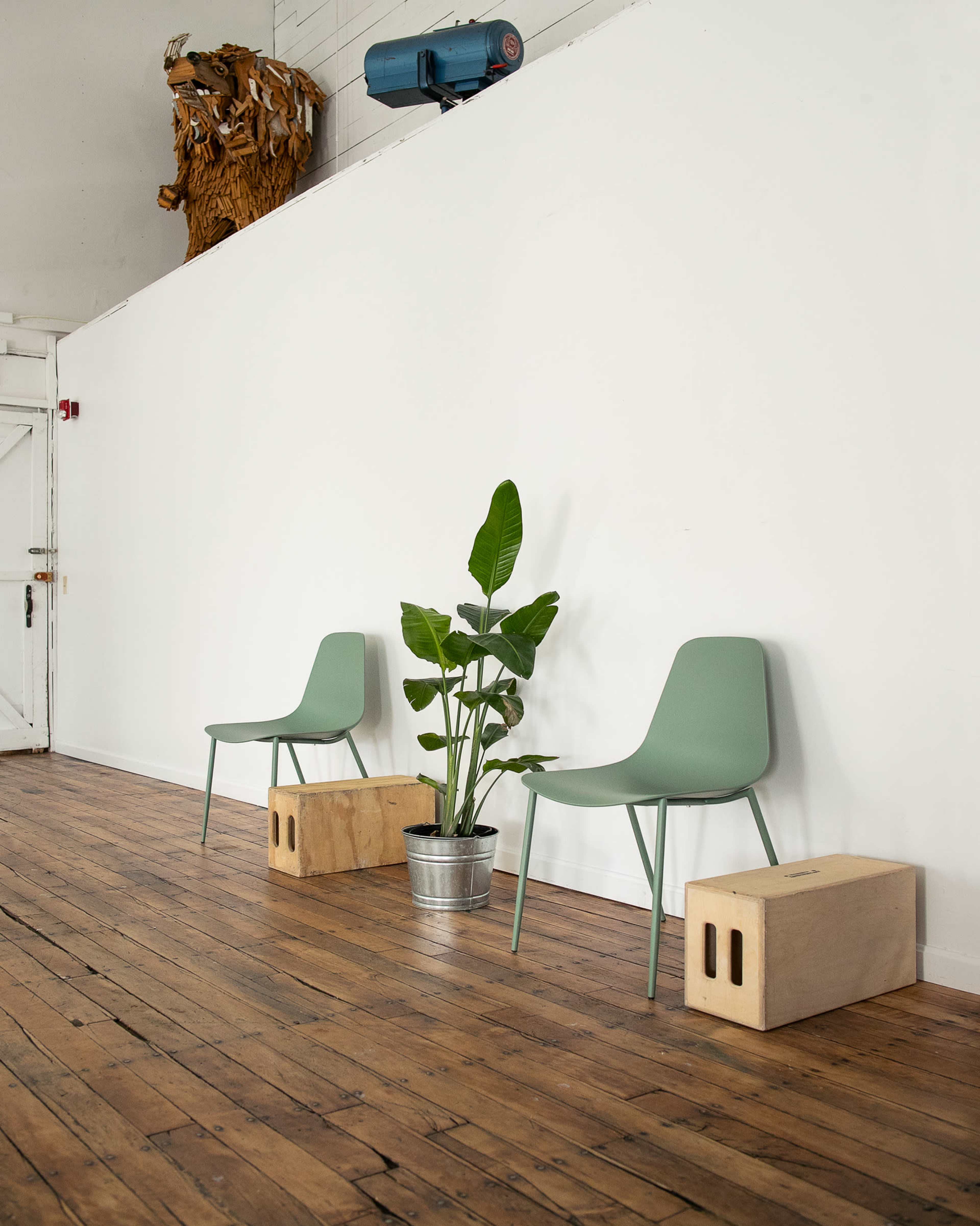 The image shows two green chairs positioned beside a potted plant on a wooden floor against a white wall.