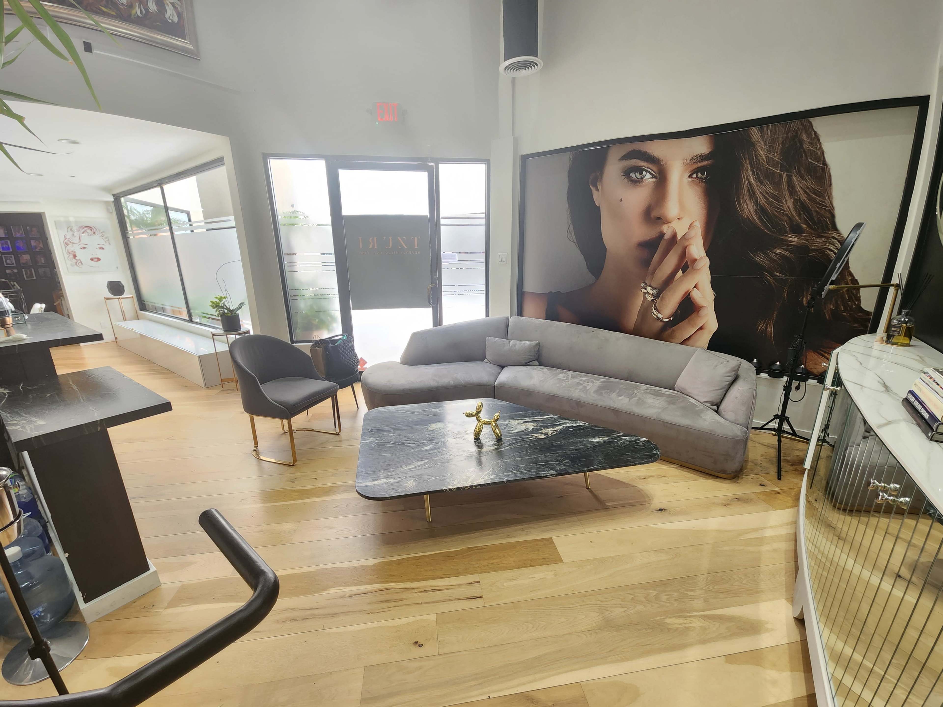 The image shows a modern interior with a large gray sofa, a coffee table, and a prominent wall featuring a woman's portrait.
